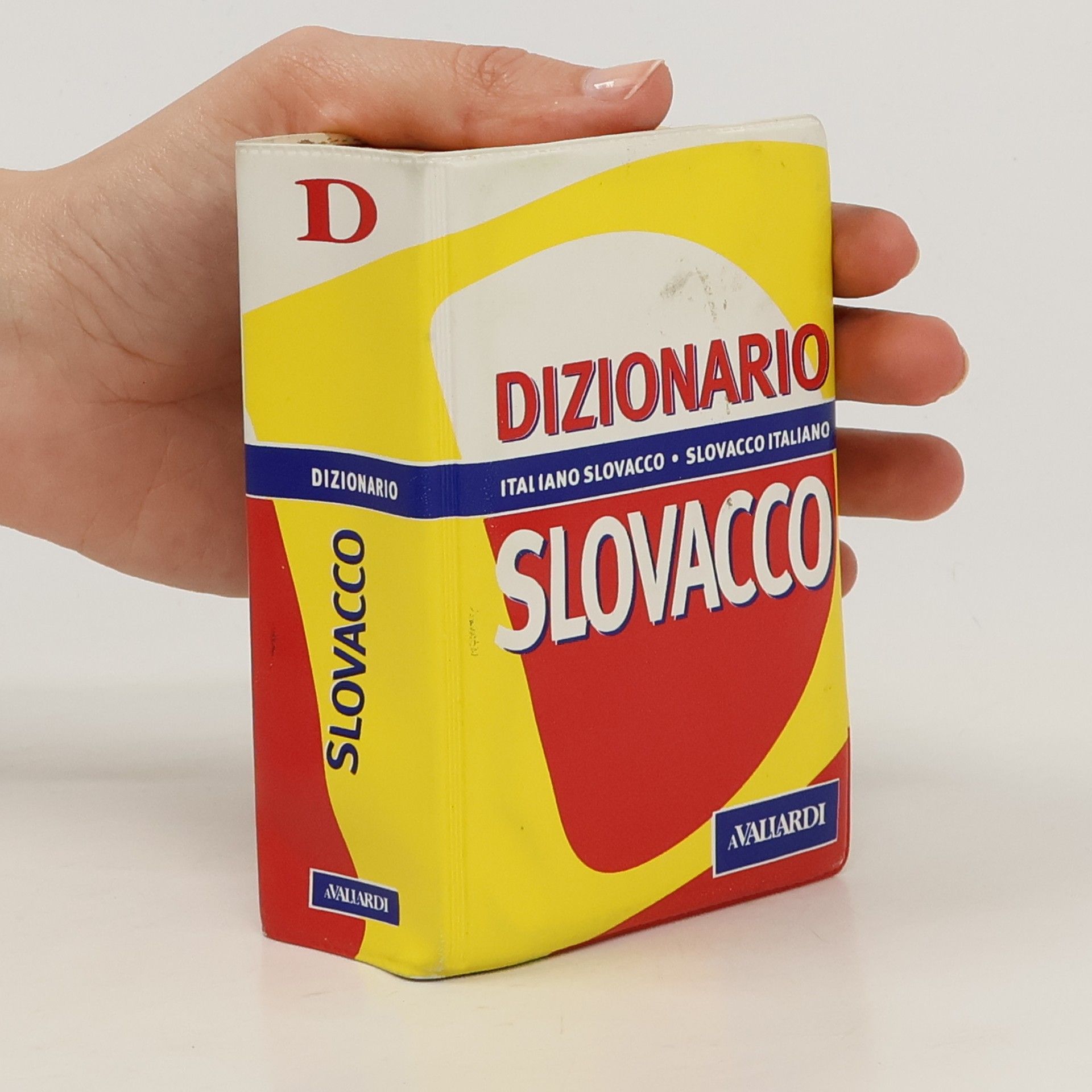AA.VV. Dizionario slovacco