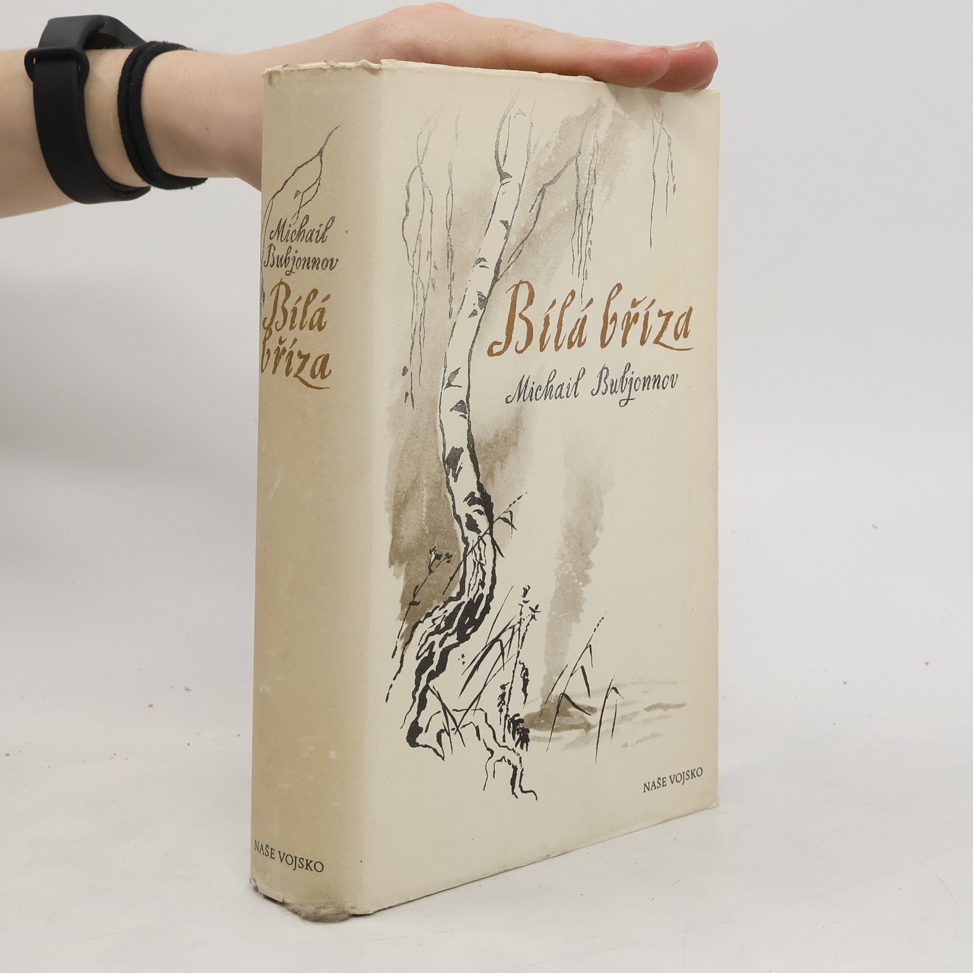 Michail Bubjonnov Bílá bříza