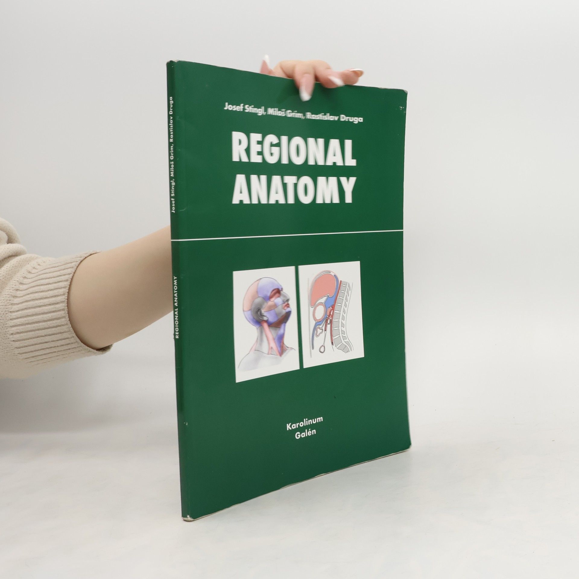 Josef Stingl Regional Anatomy