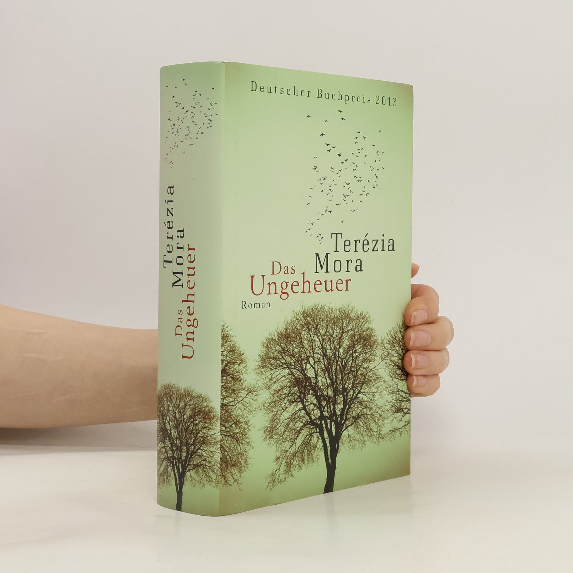 Terézia Mora Das Ungeheuer