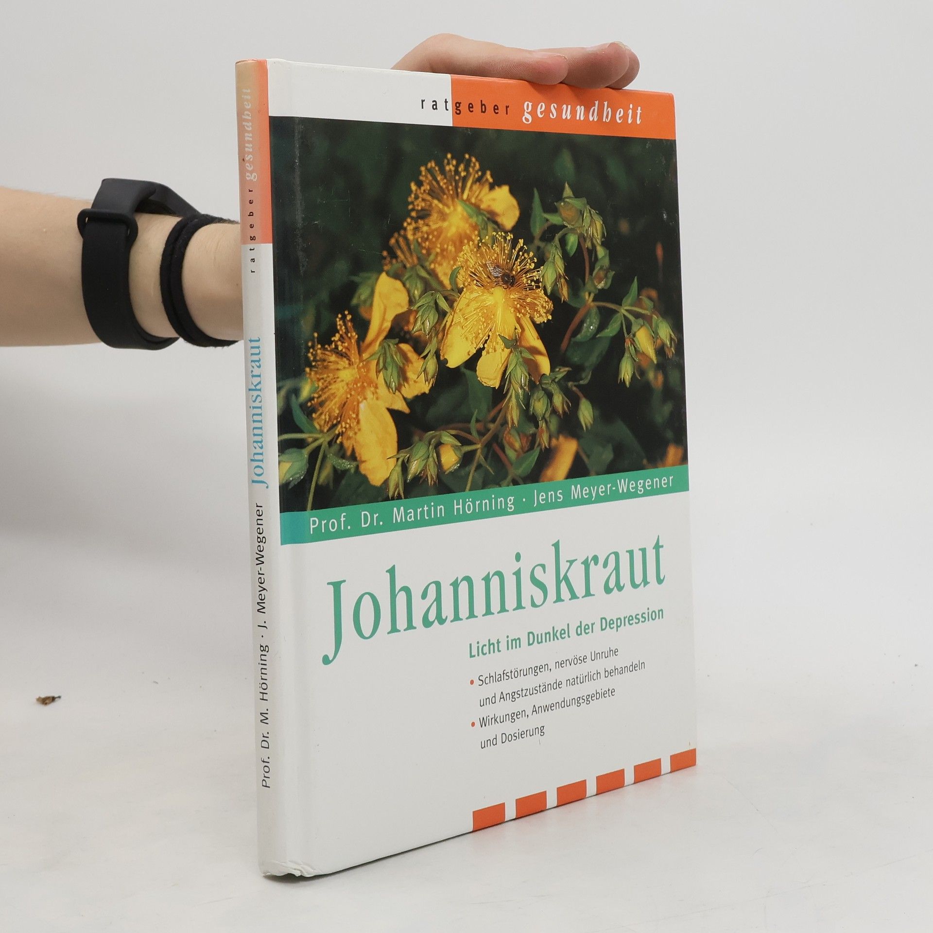 Martin Hörning Johanniskraut