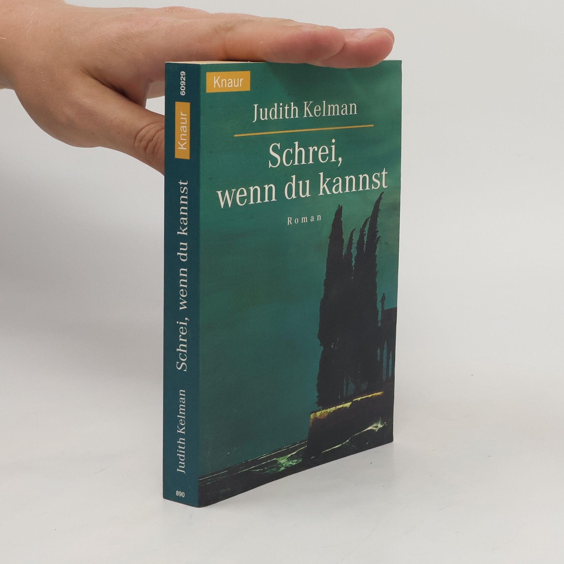 Judith Kelman Schrei, wenn du kannst