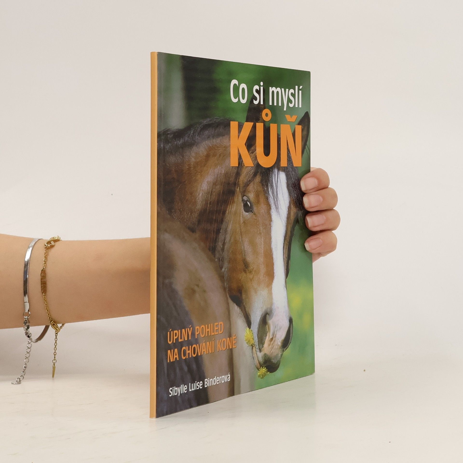 Sibylle Luise Binder Co si myslí kůň : úplný pohled na chování koně