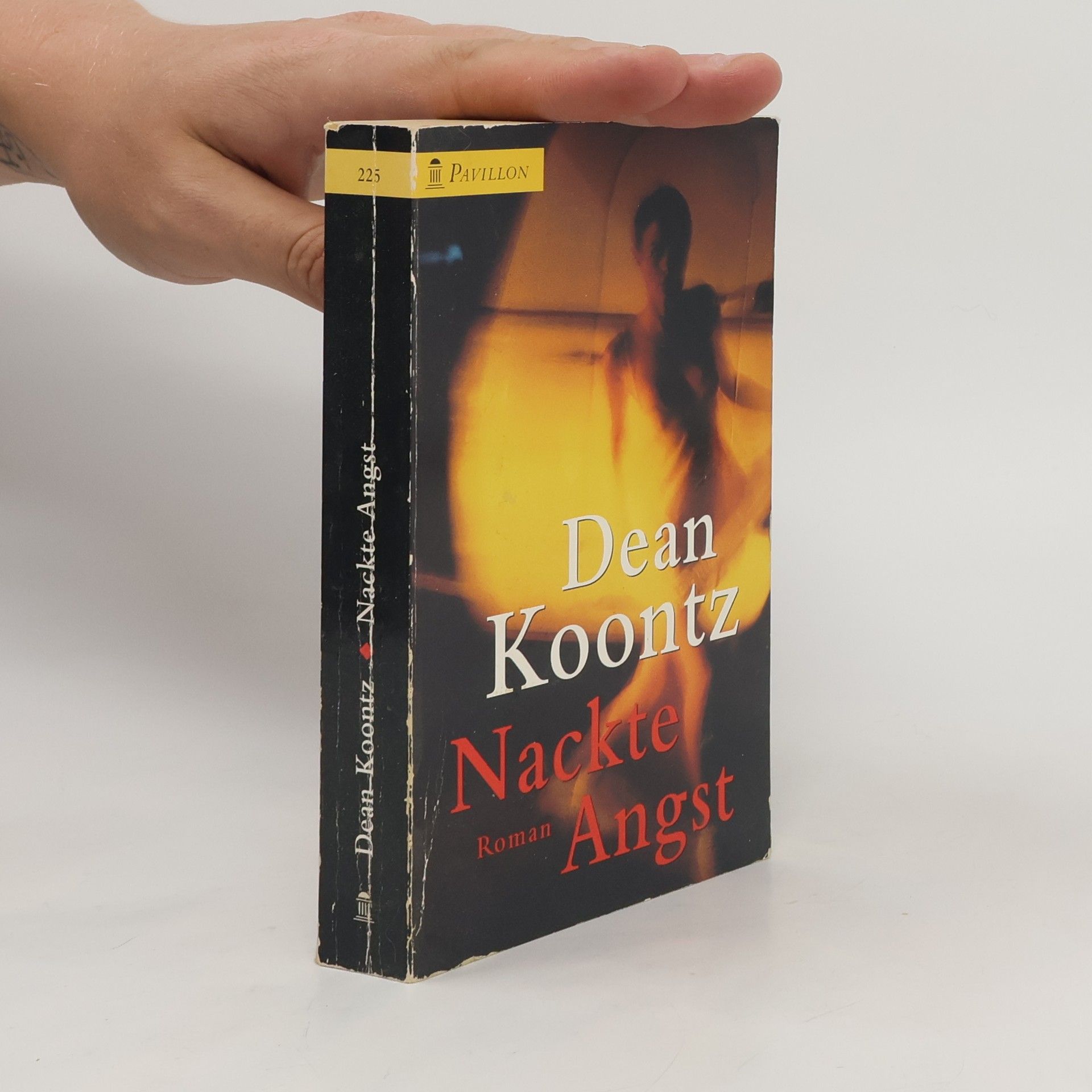 Dean R. Koontz Nackte Angst
