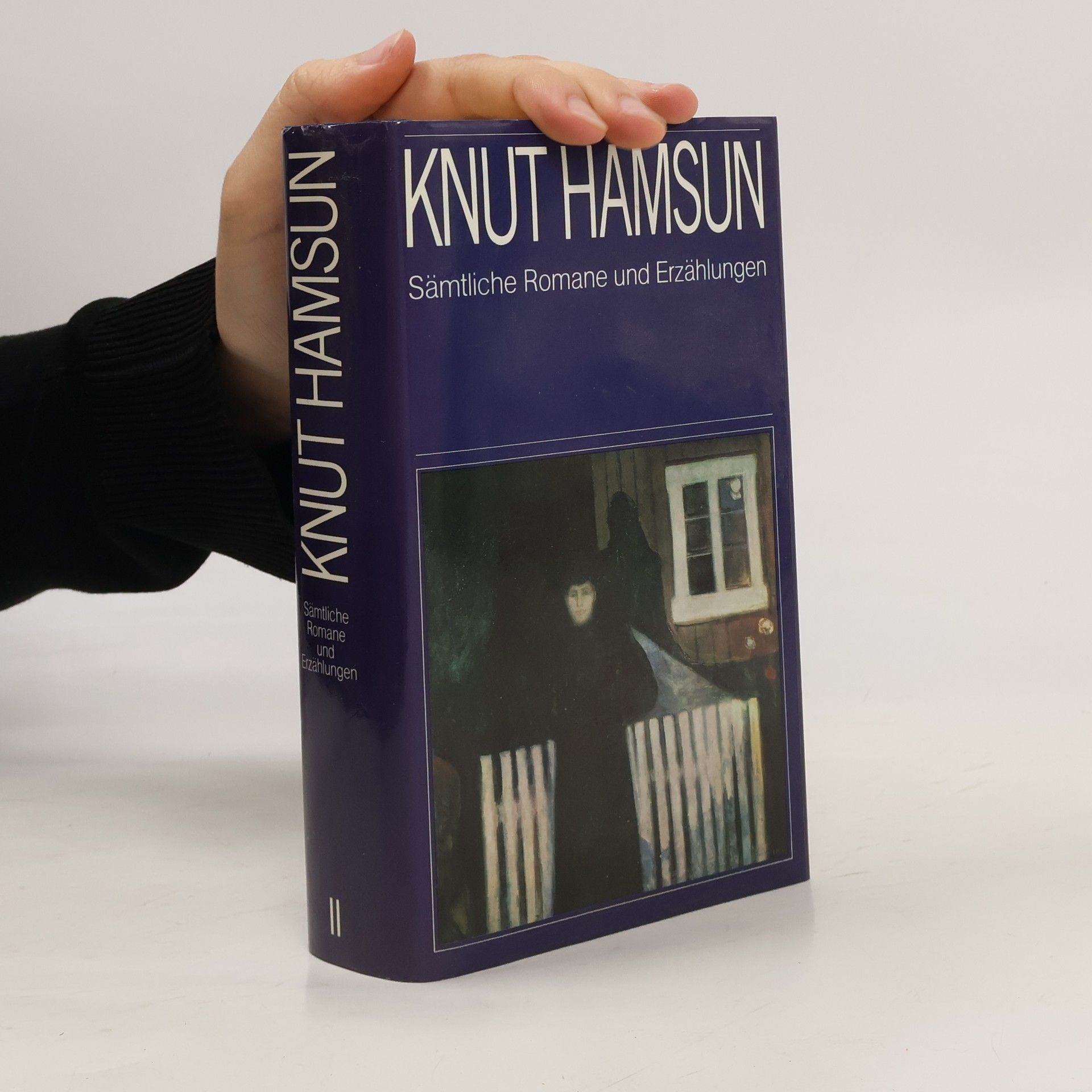 kolektiv Knut Hamsun Sämtliche Romane und Erzählungen II.