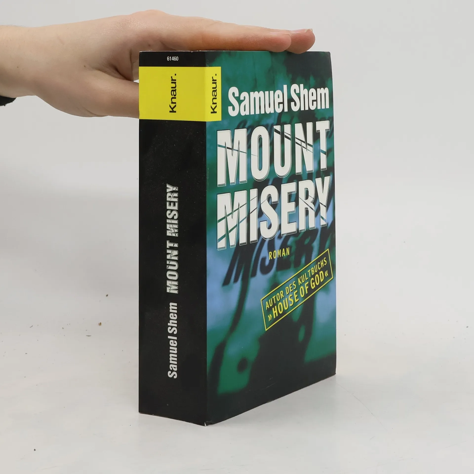 Mount Misery | Buch | Samuel Shem