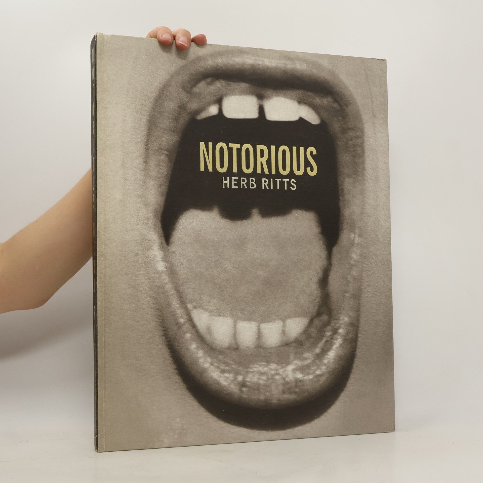 Herb Ritts Notorius