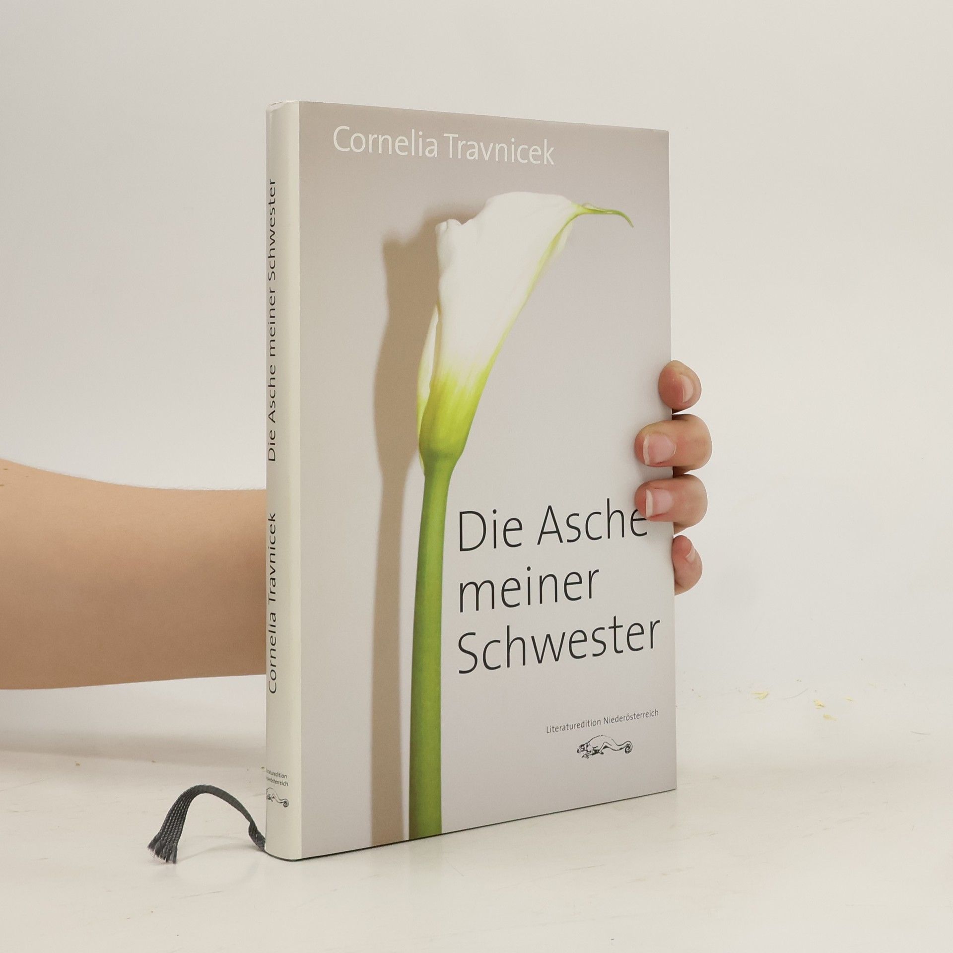 Cornelia Travnicek Die Asche meiner Schwester