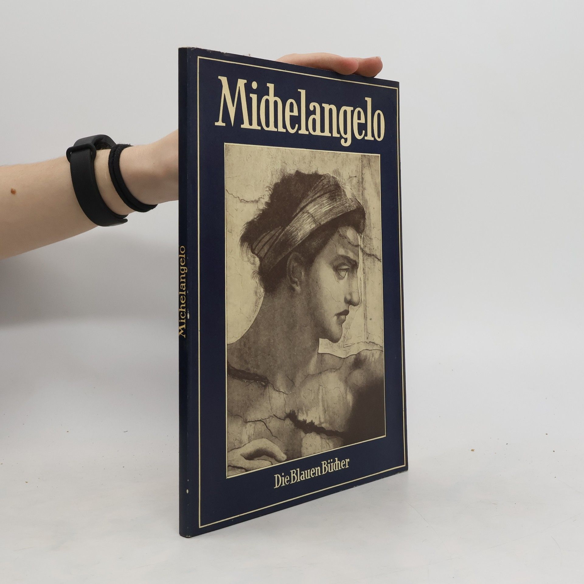Michelangelo Buonarroti Die Blauen Bücher. Michelangelo