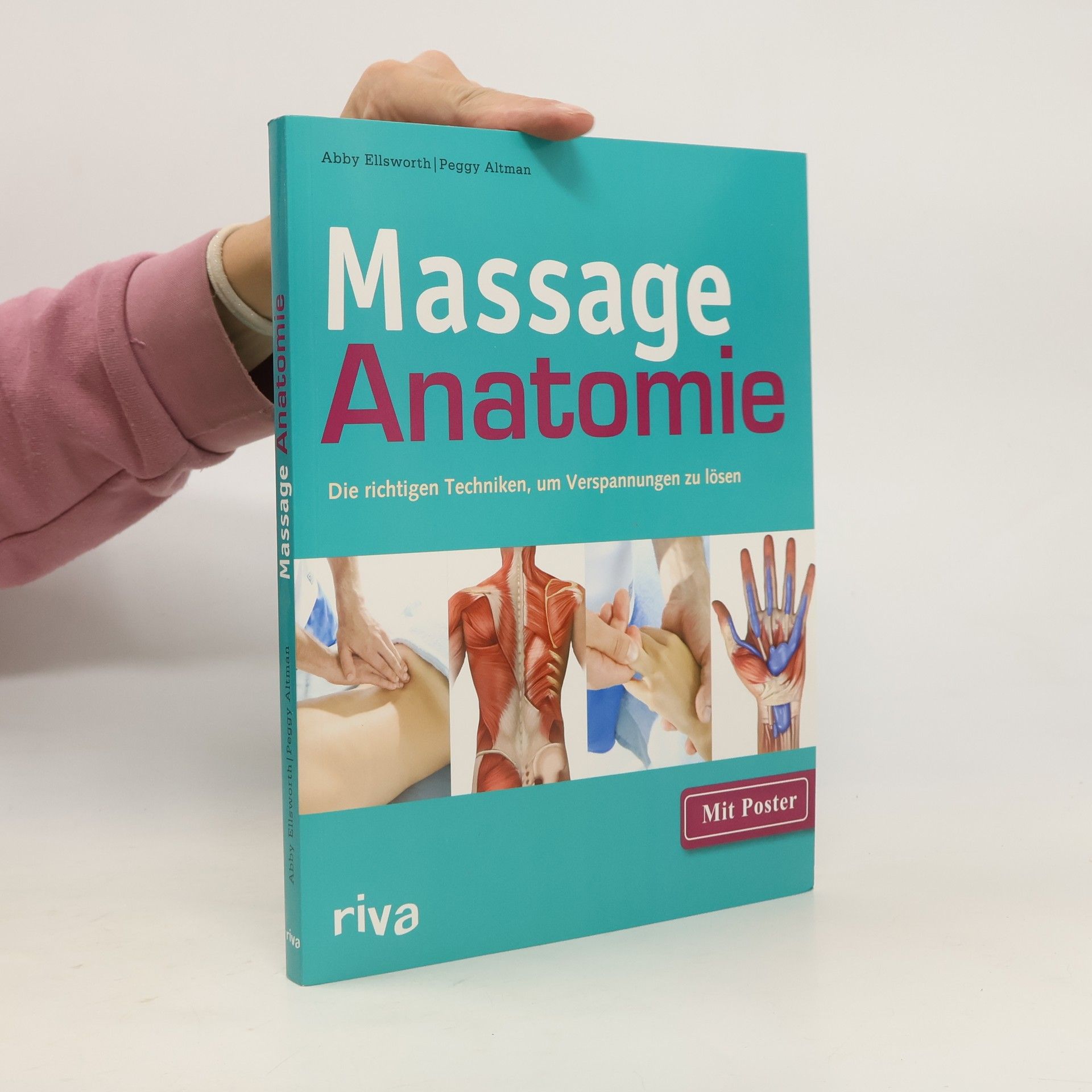 Abby Ellsworth Massage-Anatomie, m. Poster