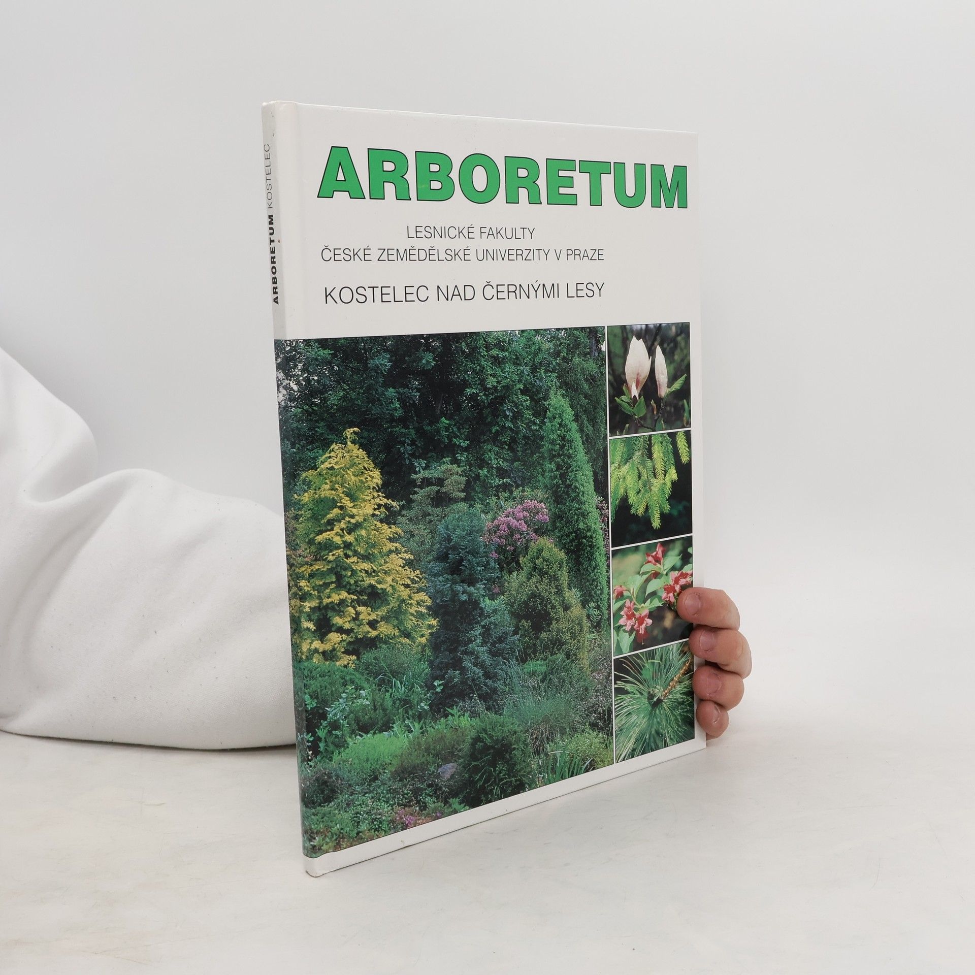 Ivan Roček Arboretum Lesnické fakulty České zemědělské univerzity.