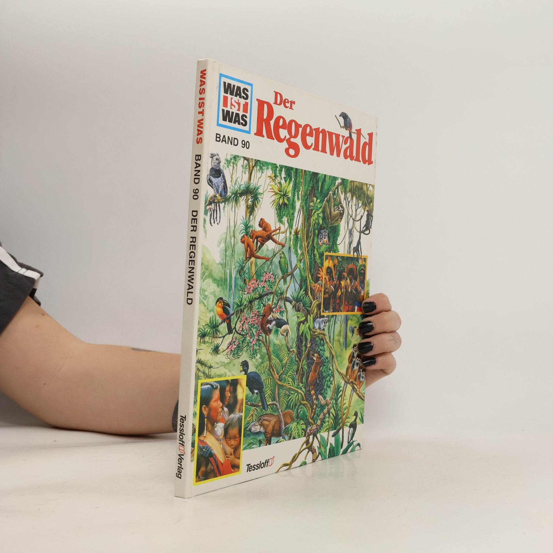 Andrea Mertiny Der Regenwald