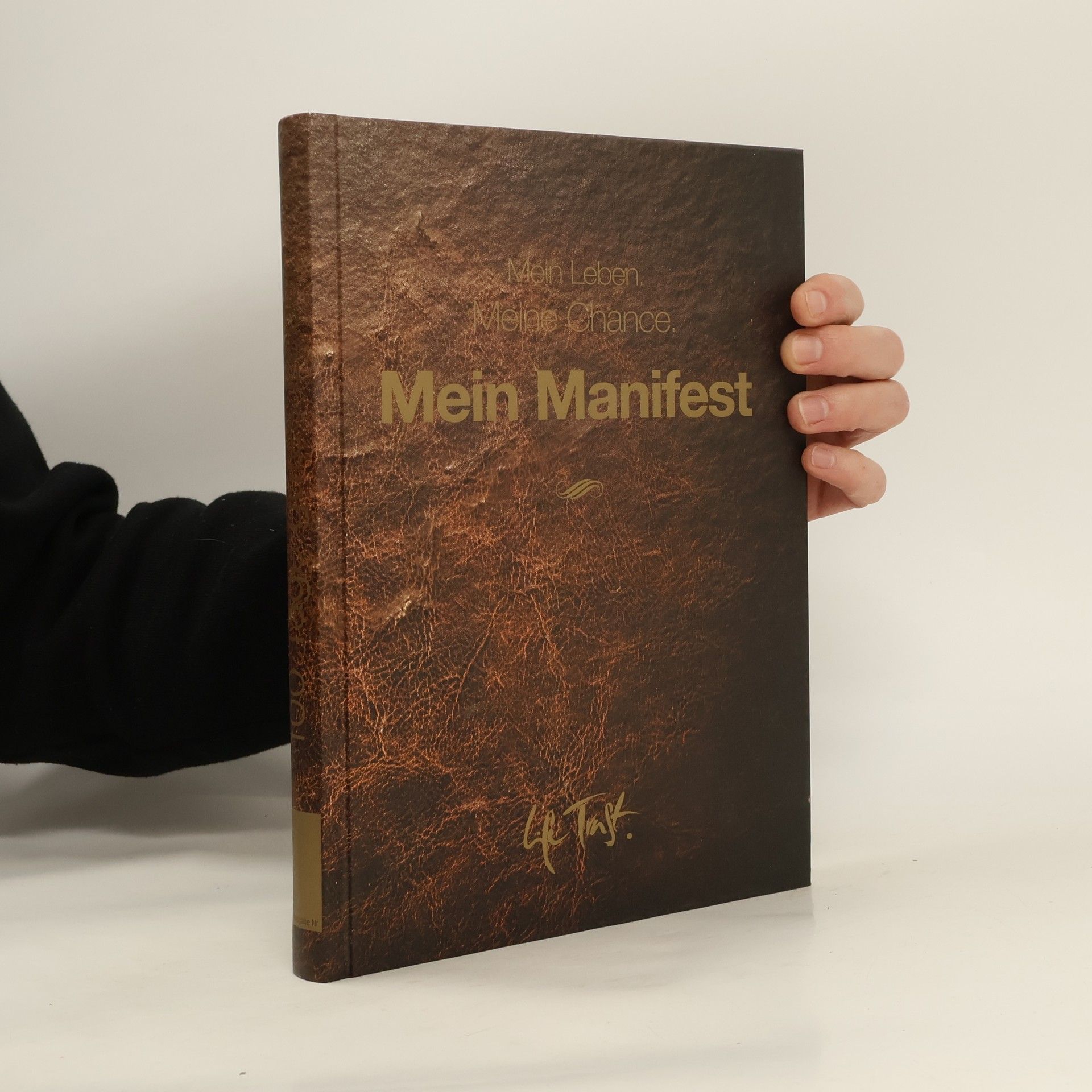 Veit Lindau Mein Manifest