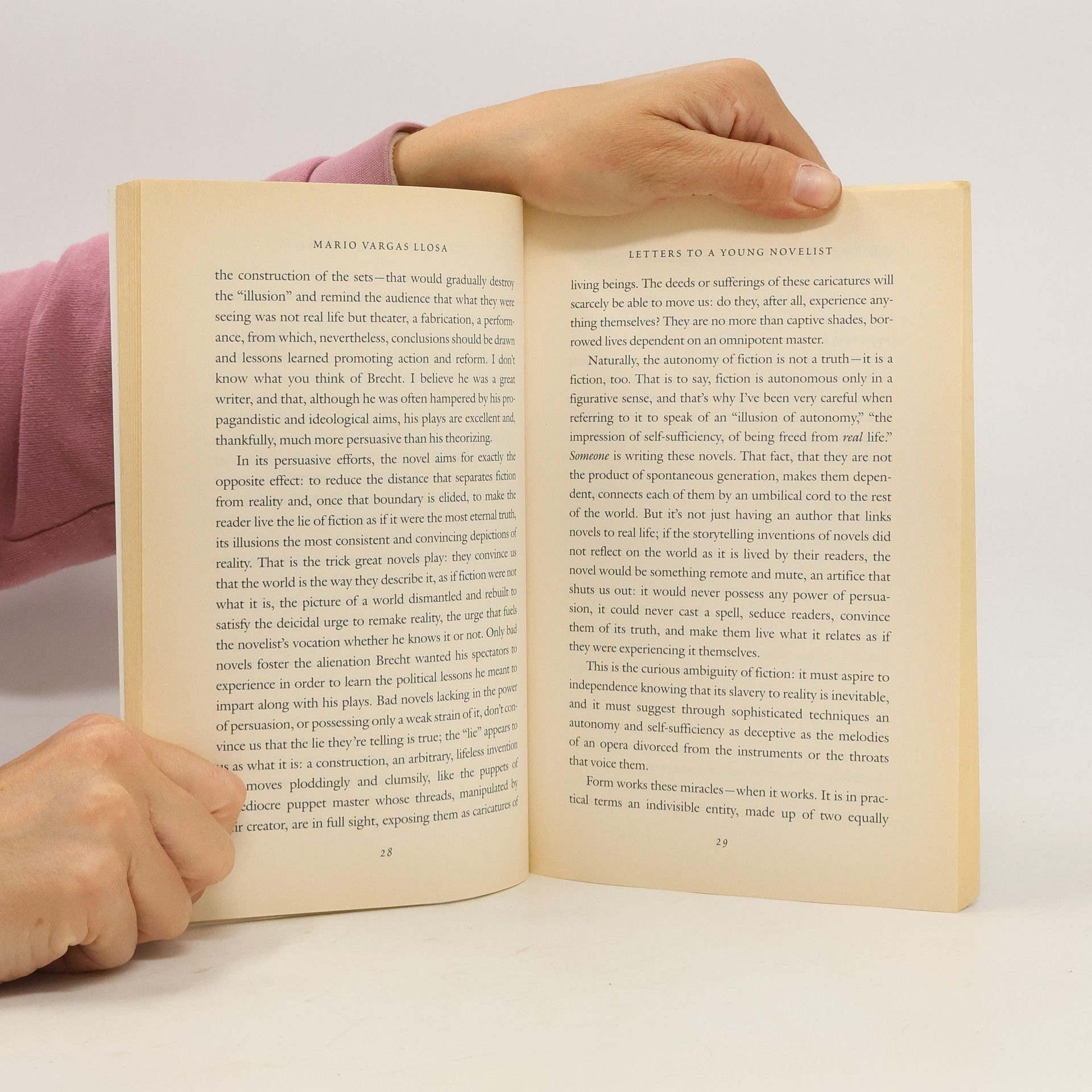 Mario Vargas Llosa Letters to a young novelist