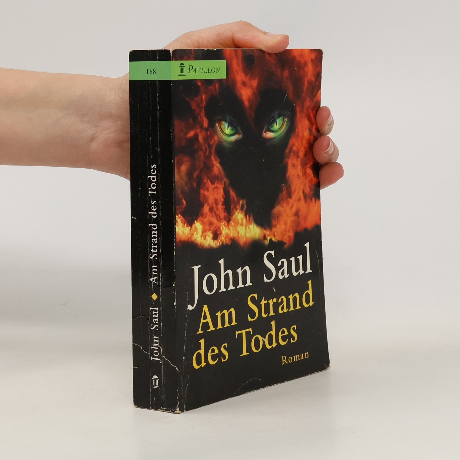 John Saul Am Strand des Todes