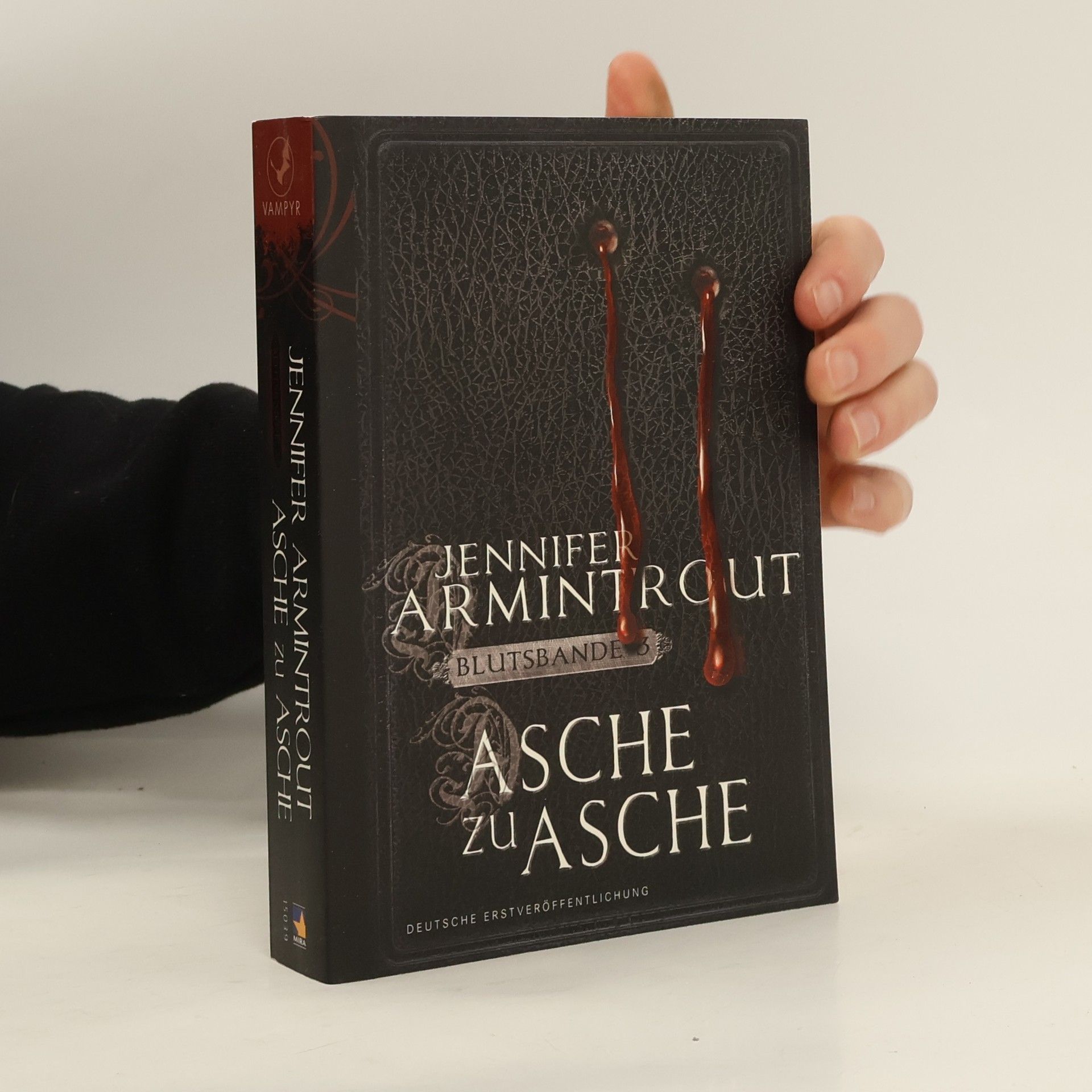 Jennifer Armintrout Asche zu Asche