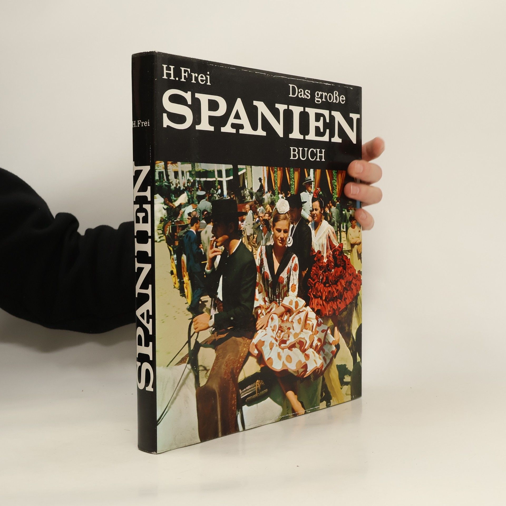 H. Frei Das große spanien Buch