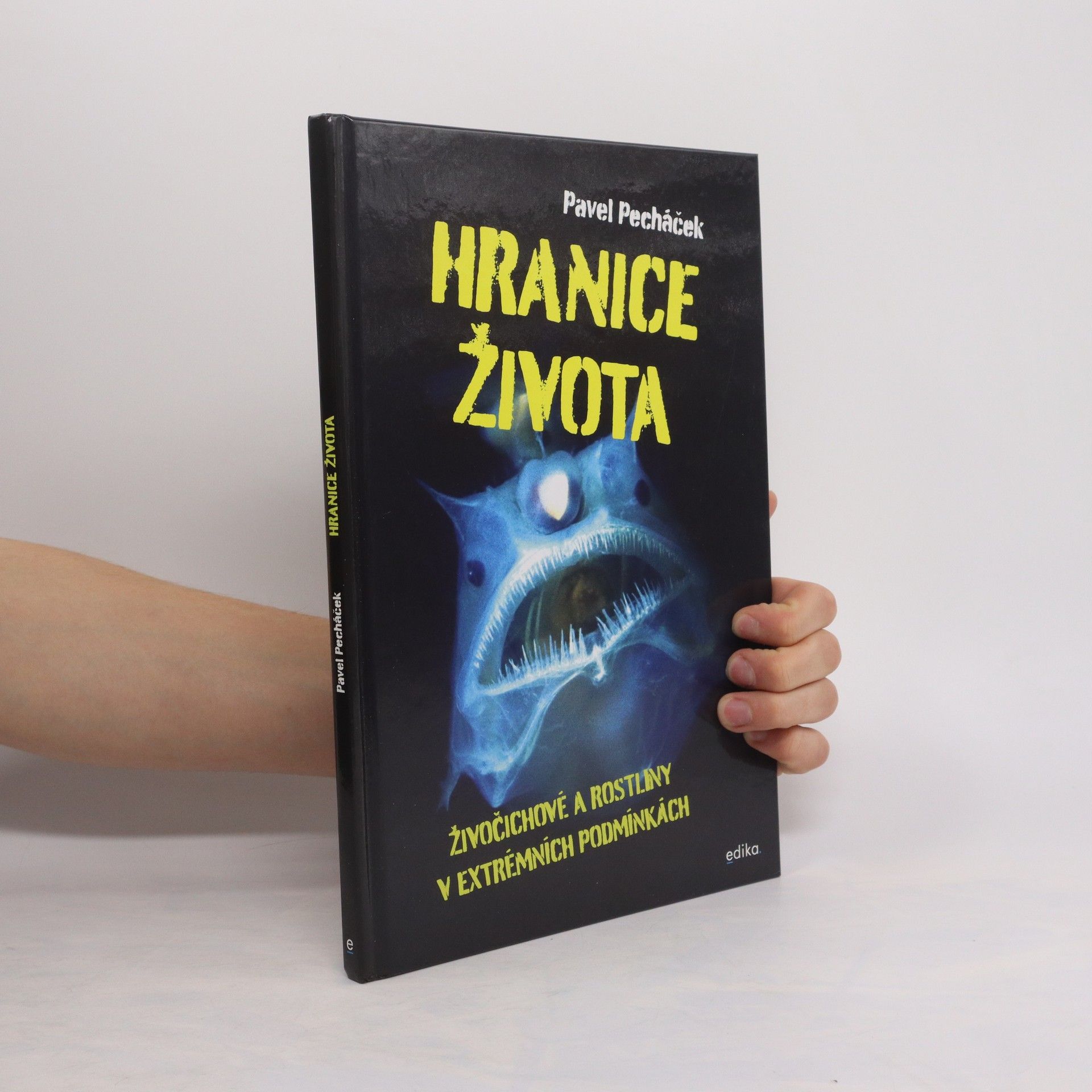 Pavel Pecháček Hranice života