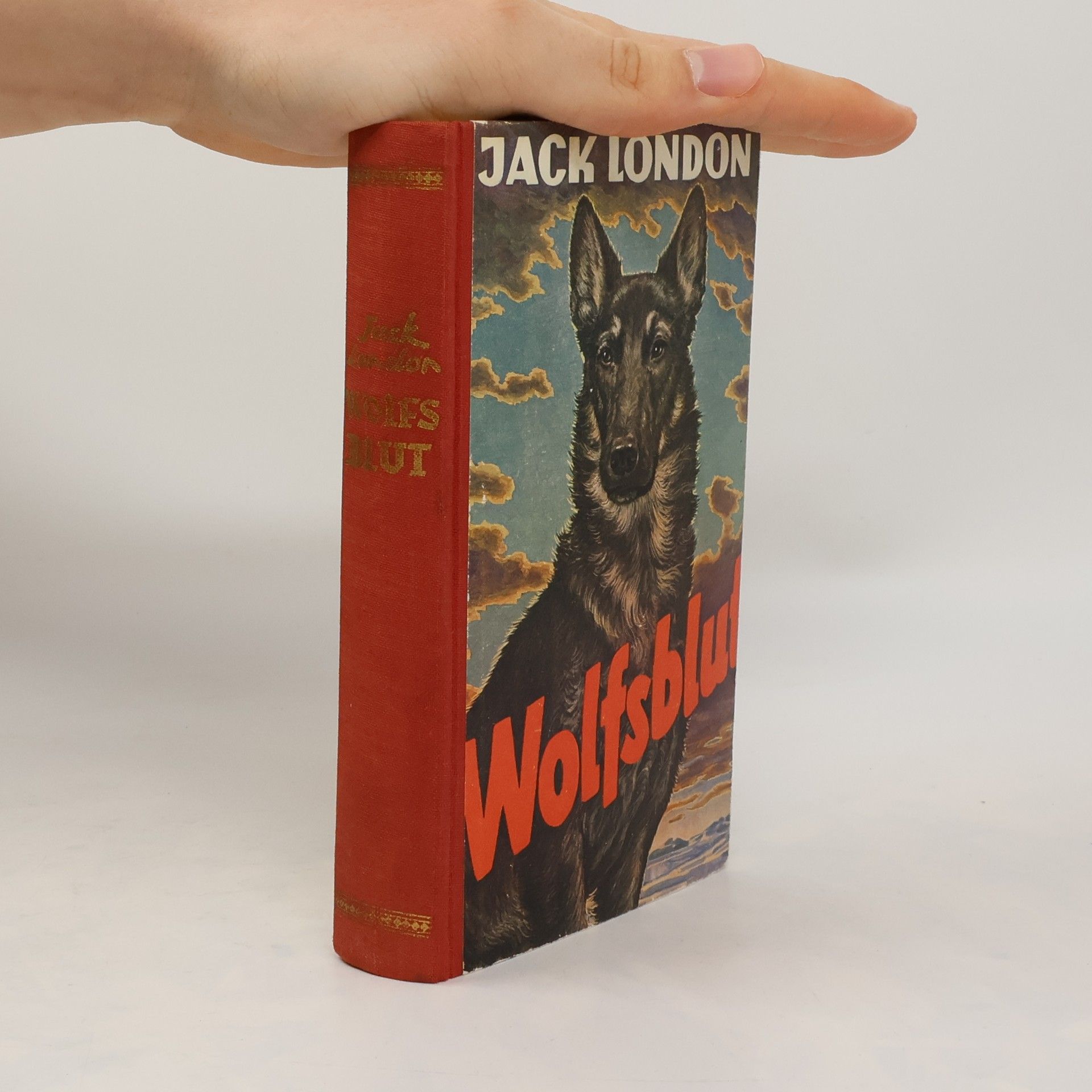 Jack London Wolfsblut