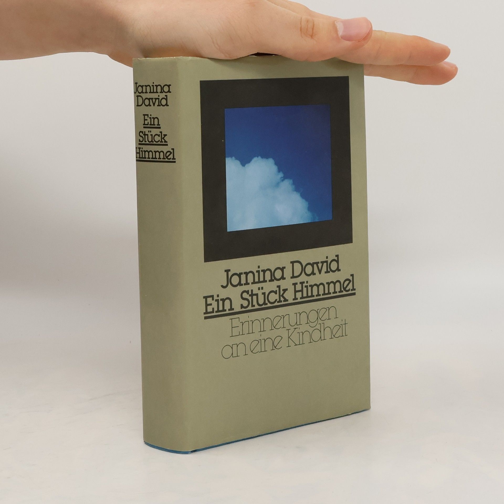 Janina David Ein Stück Himmel