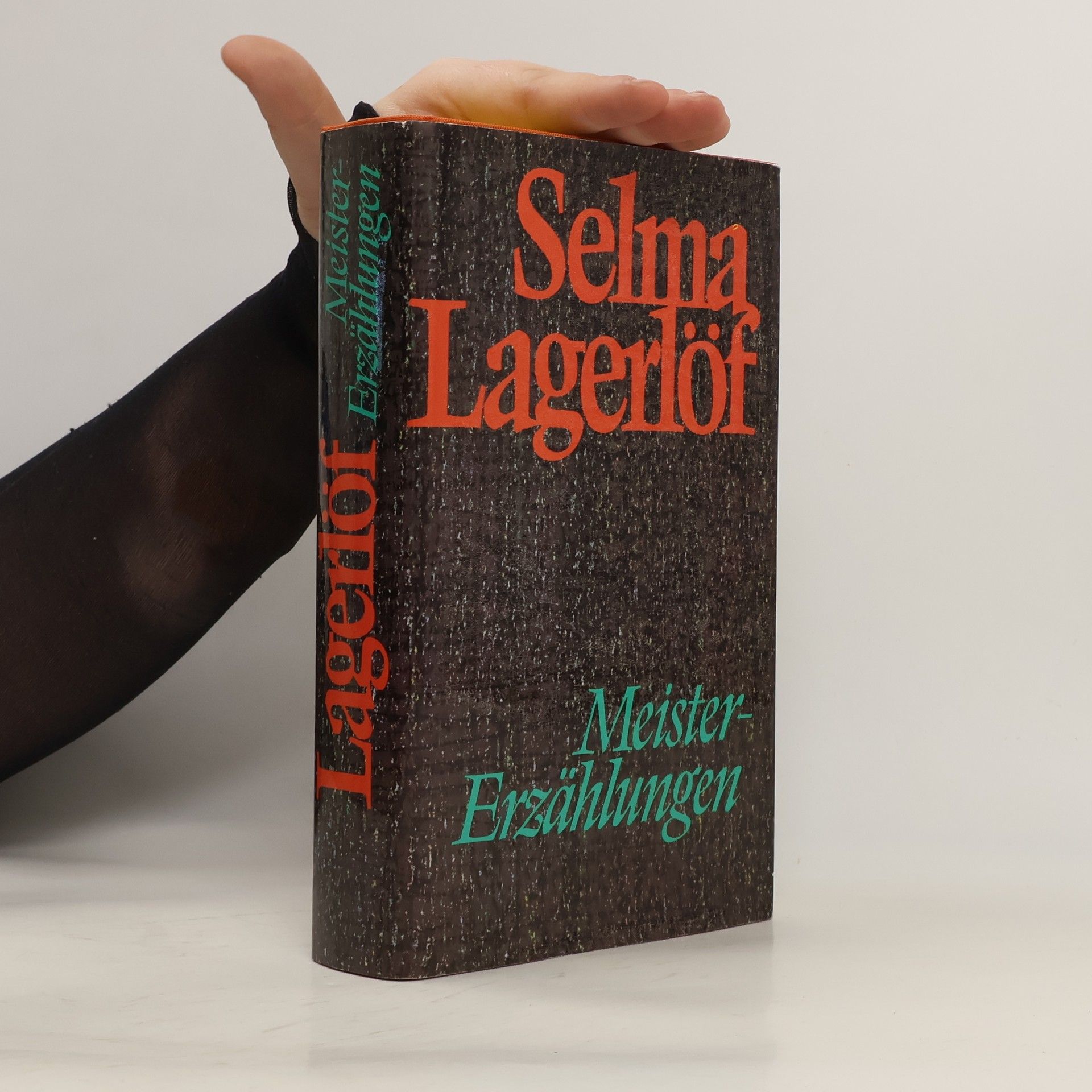 Selma Lagerlöf Der Stein im See Fünf Erzählungen