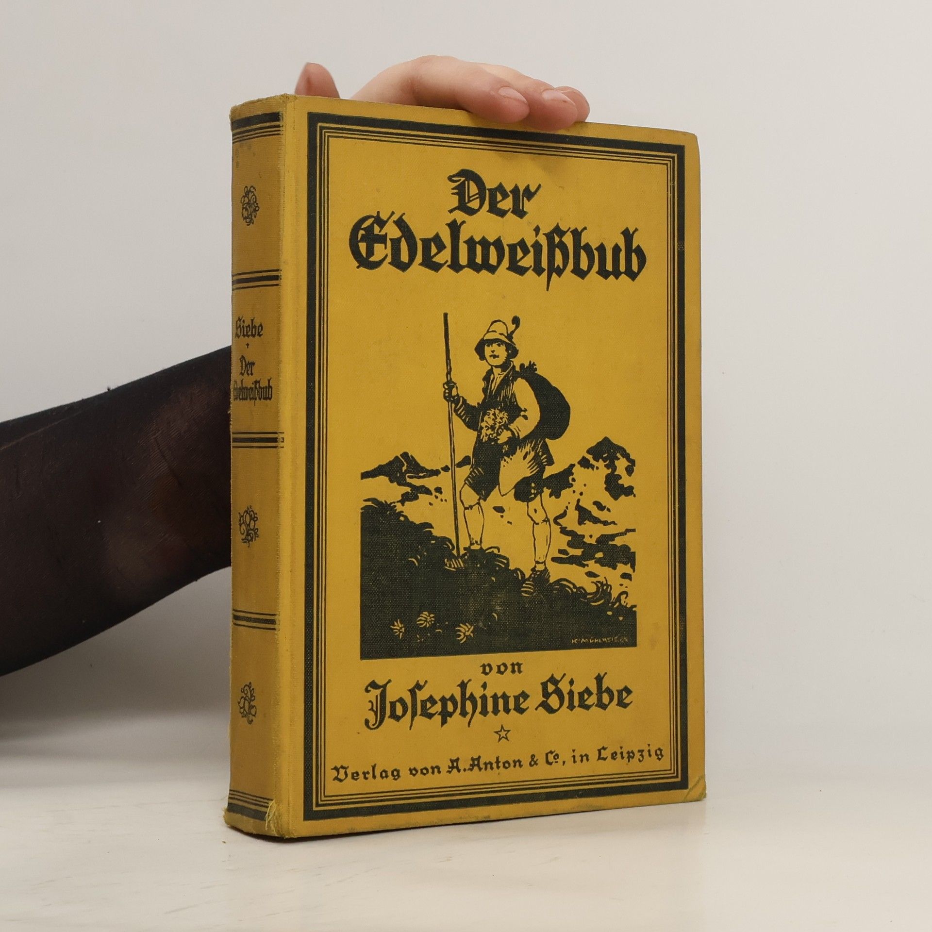 Josephine Siebe Der Edelweißbub