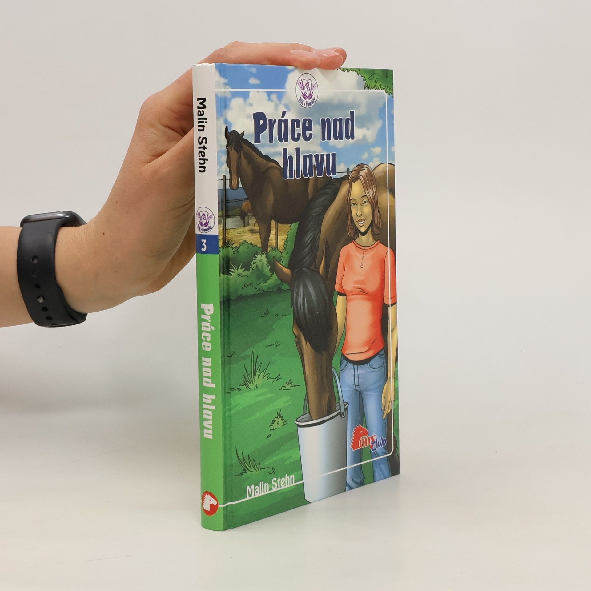 Malin Stehn Práce nad hlavu