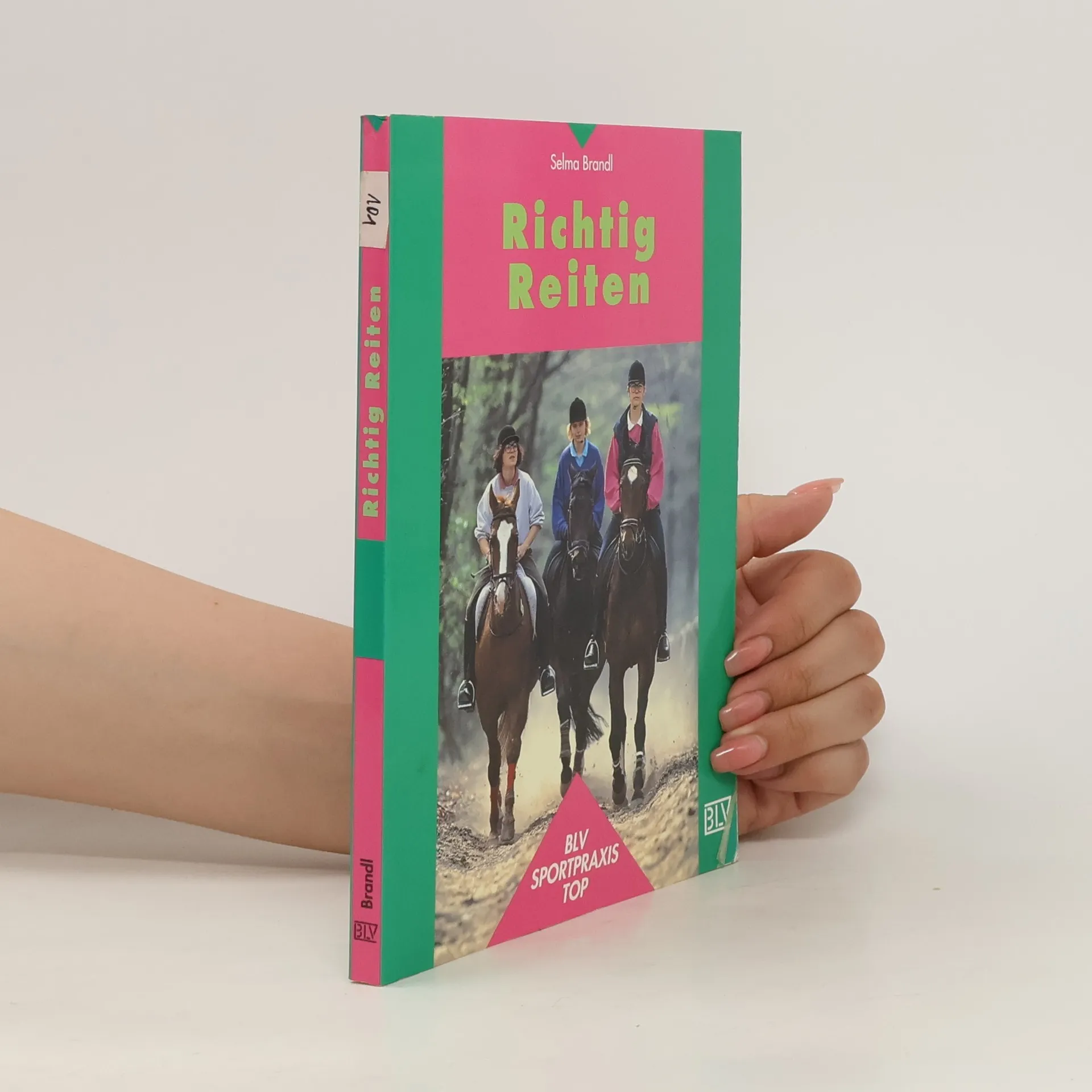 Richtig reiten | Buch | Selma Brandl