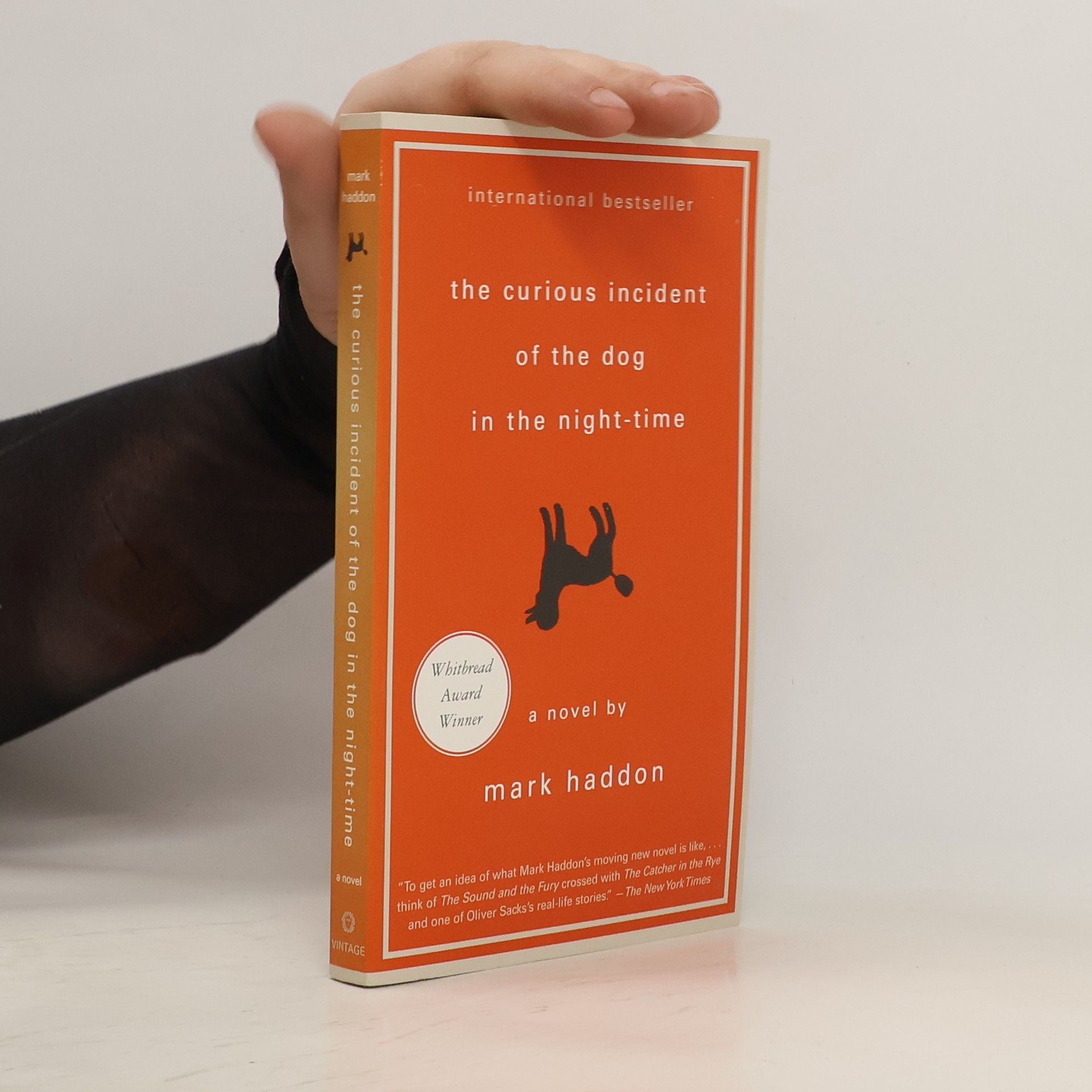 Mark Haddon The curious incident of the dog in the night-time