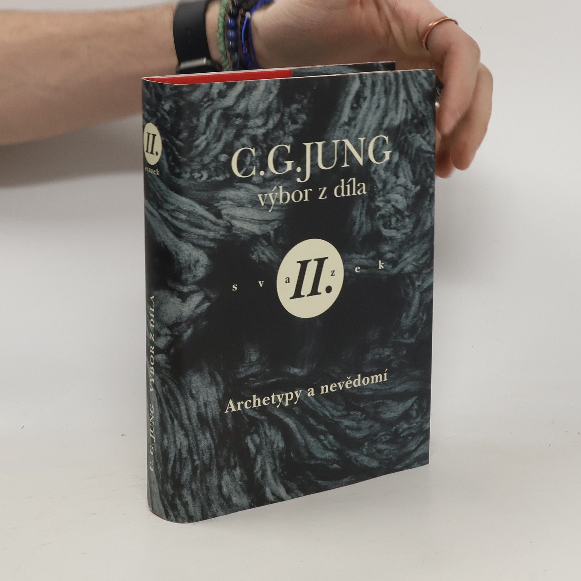 Carl Jung Archetypy a nevědomí