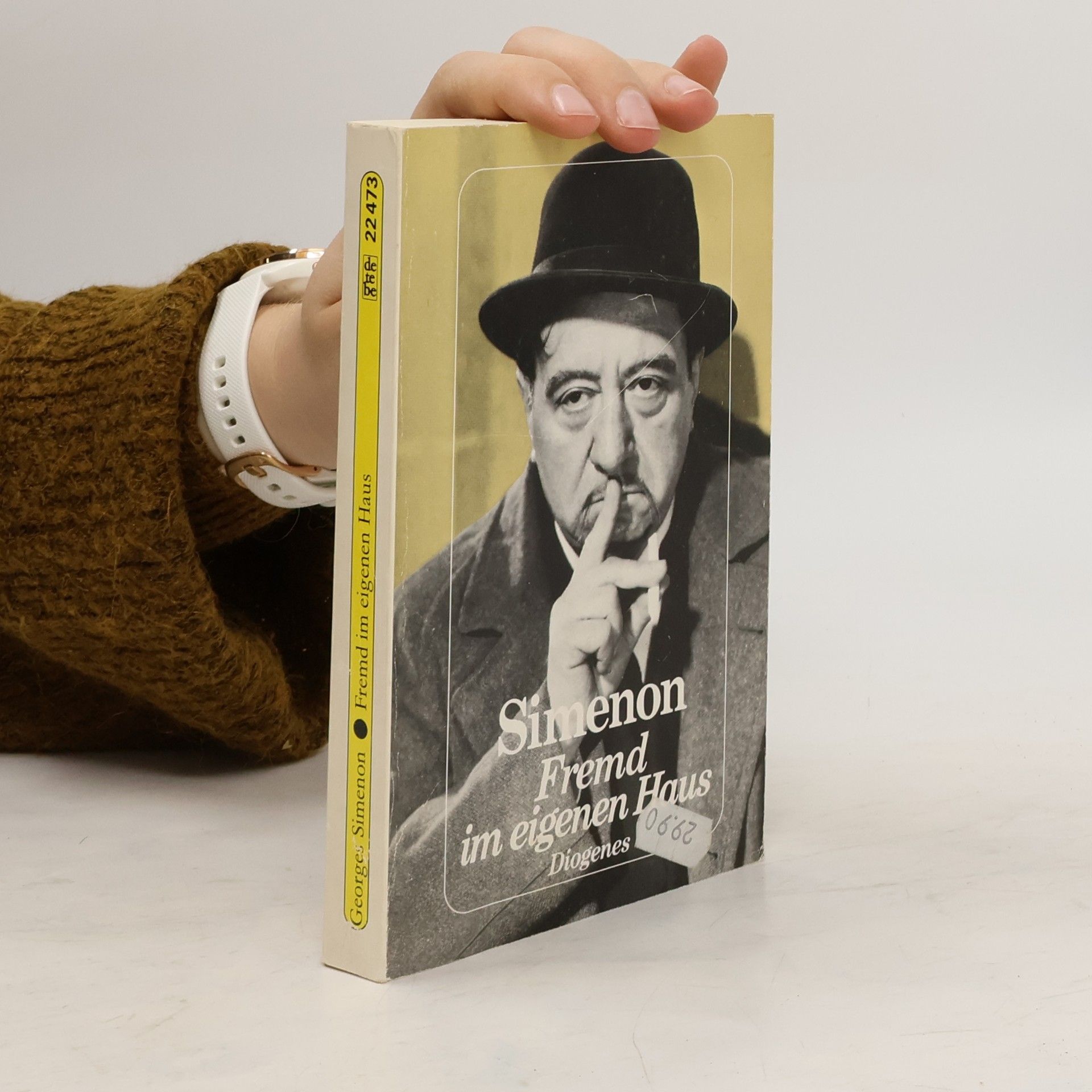 Georges Simenon Fremd im eigenen Haus