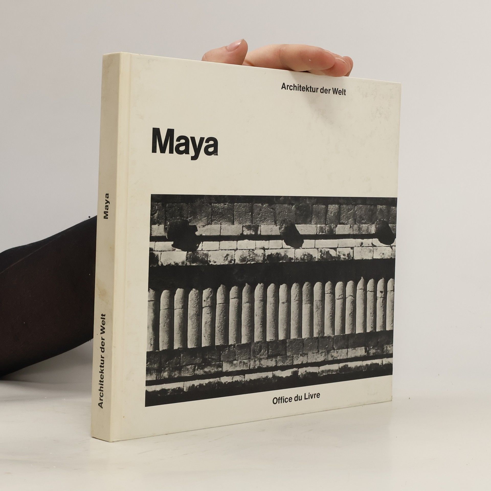 Autorenkollektiv Architektur der Welt: Maya