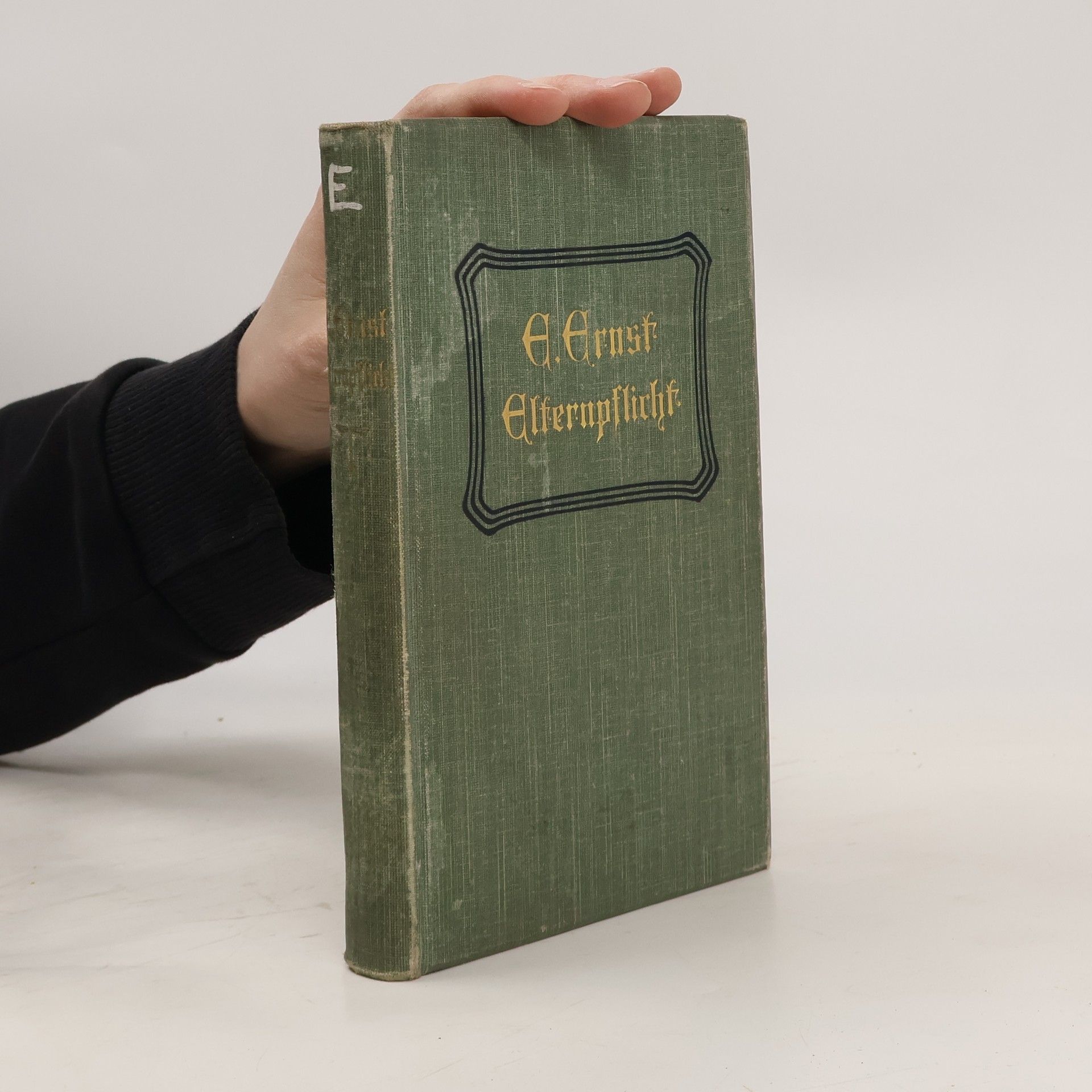 E. Ernst Elternpflicht