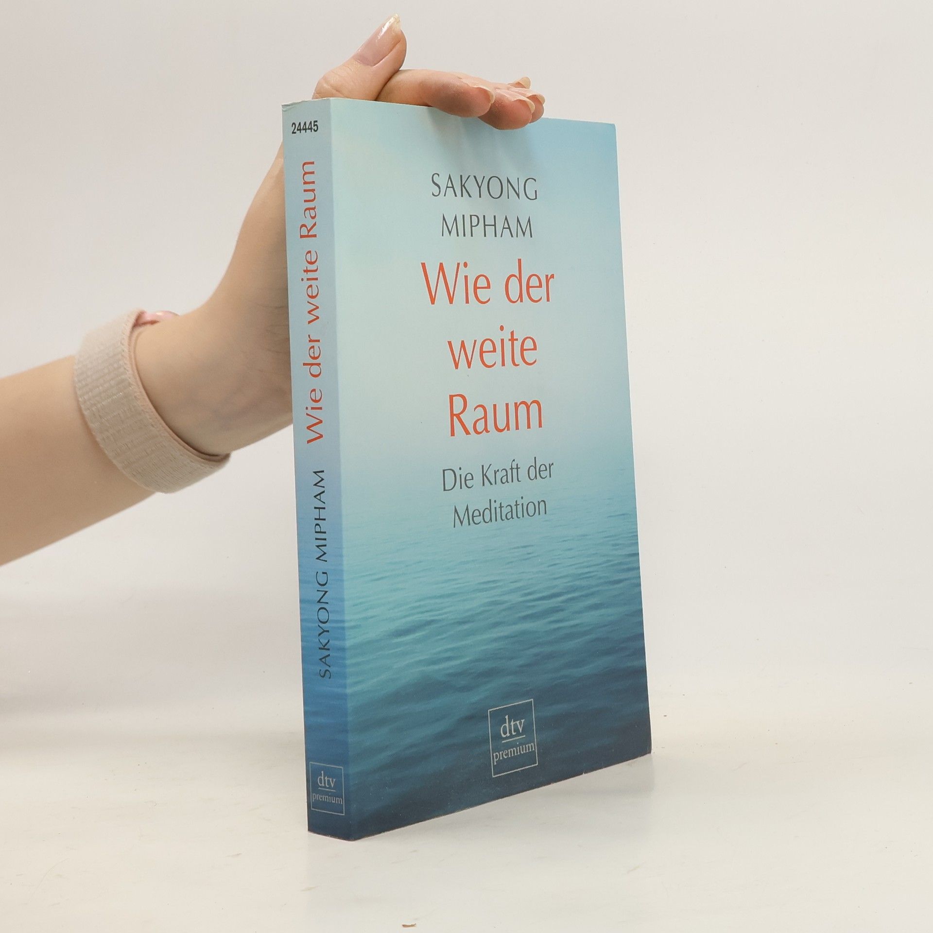 Sakyong Mipham Wie der weite Raum. Die Kraft der Meditation