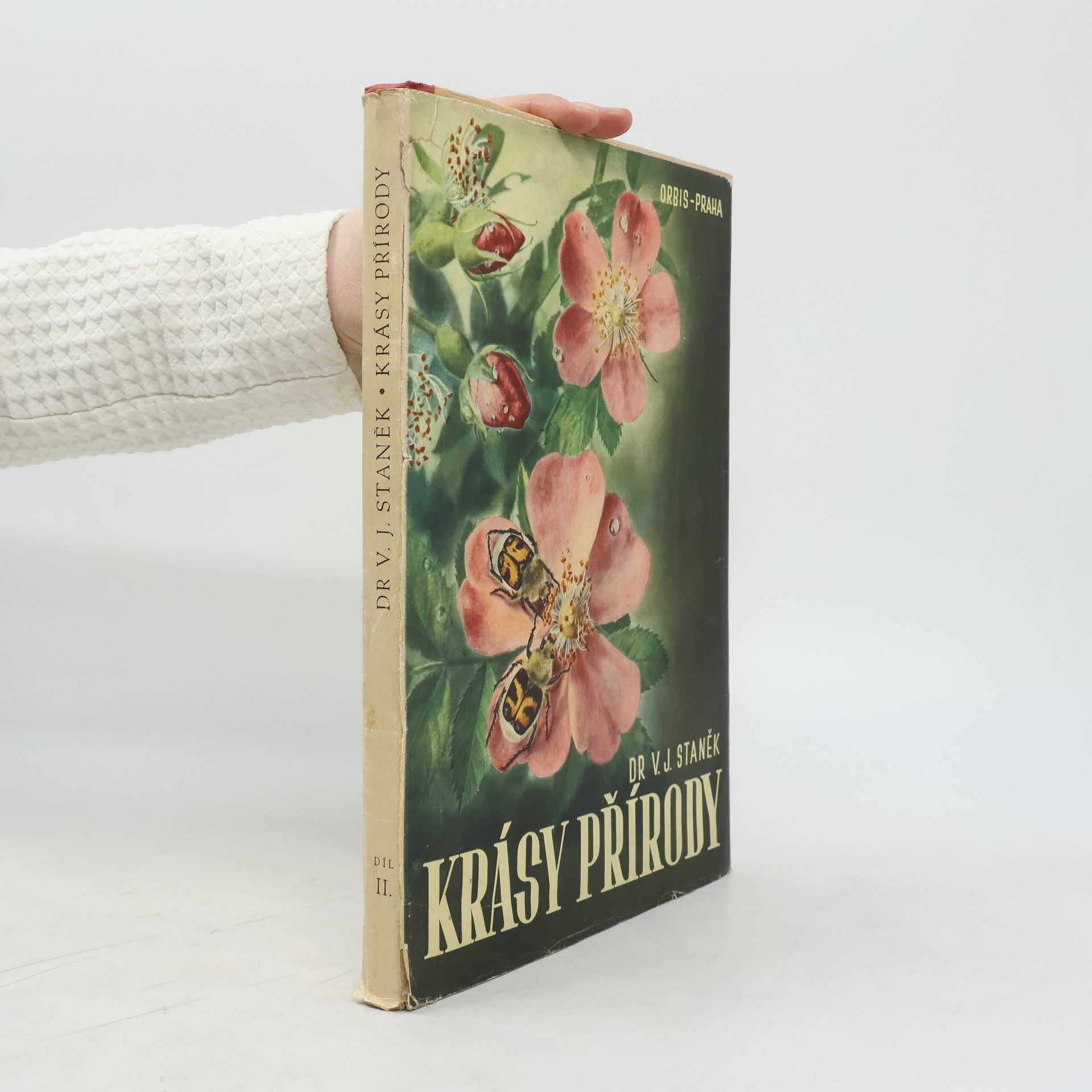 Václav Jan Staněk Krásy přírody II