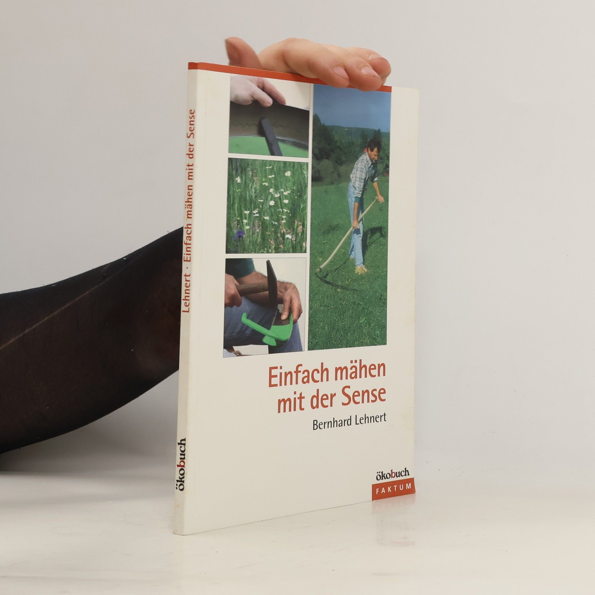 Bernhard Lehnert Einfach mähen mit der Sense