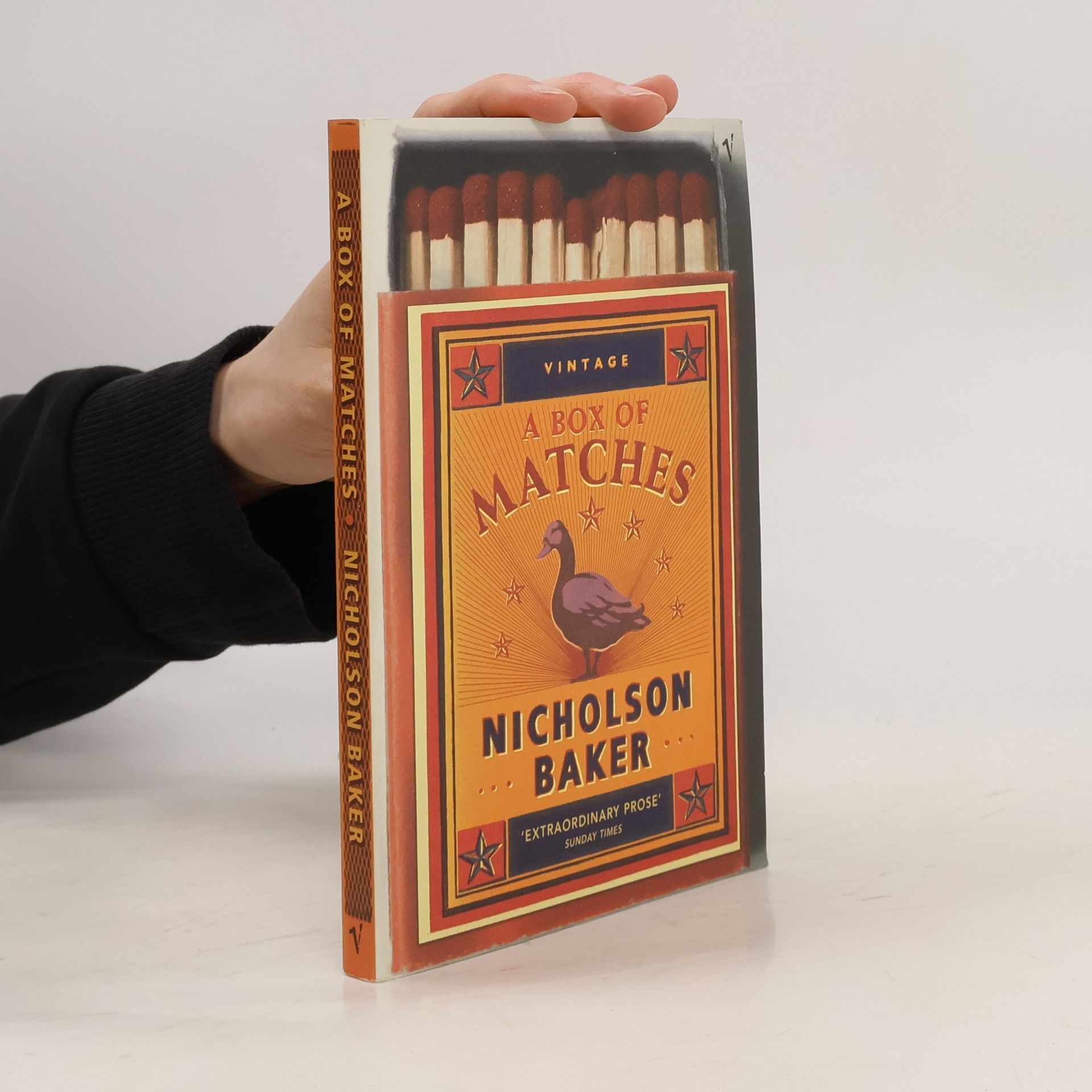 Nicholson Baker A Box of Matches