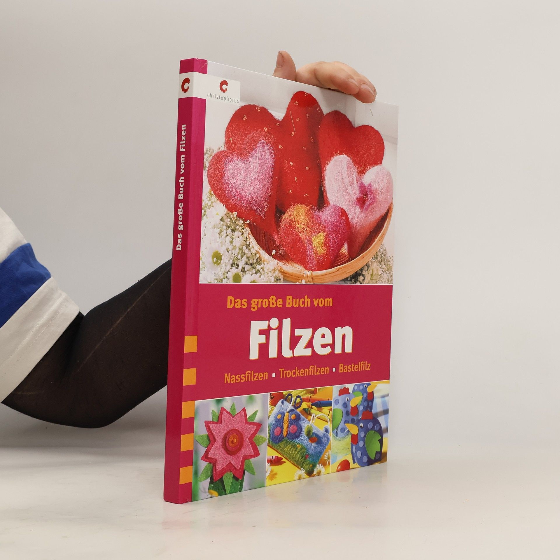 Autorenkollektiv Das große Buch vom Filzen