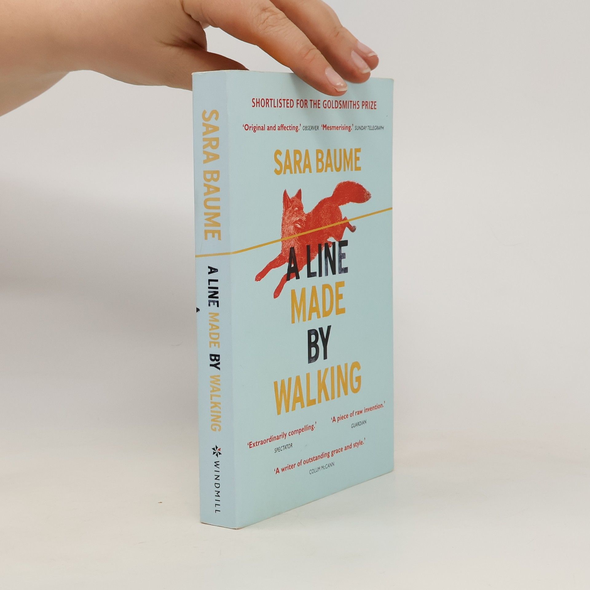 Sara Baume A line made by walking