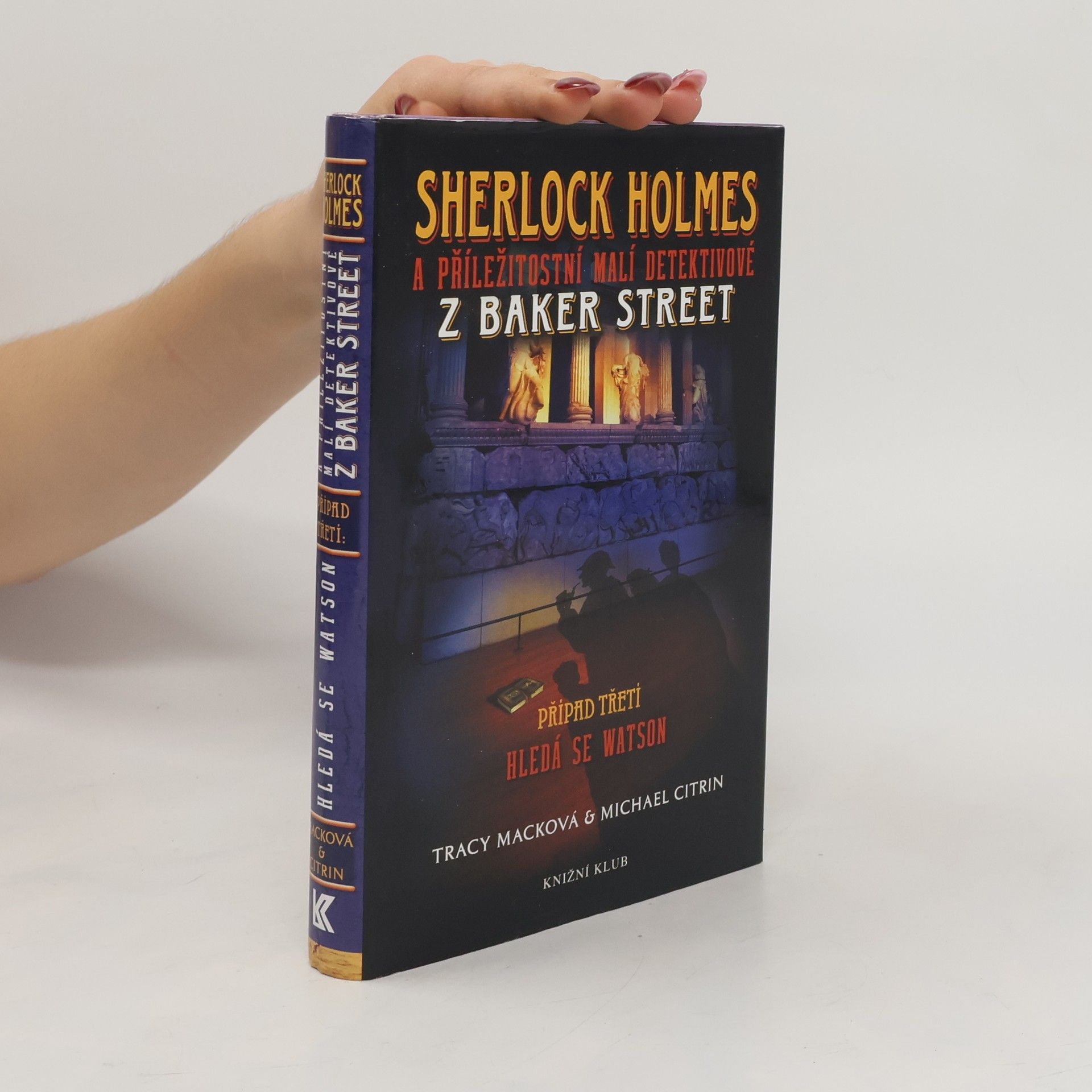 Tracy Mack Sherlock Holmes a příležitostní malí detektivové z Baker Street. Případ třetí. Hledá se Watson