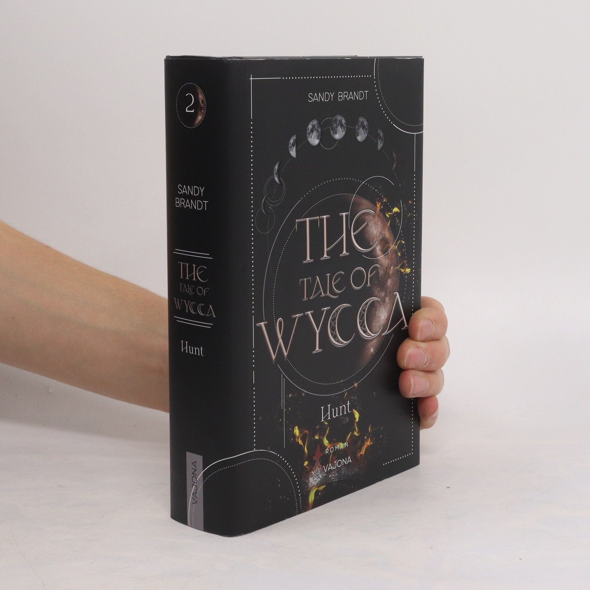 Sandy Brandt THE TALE OF WYCCA: Hunt (WYCCA-Reihe 2)