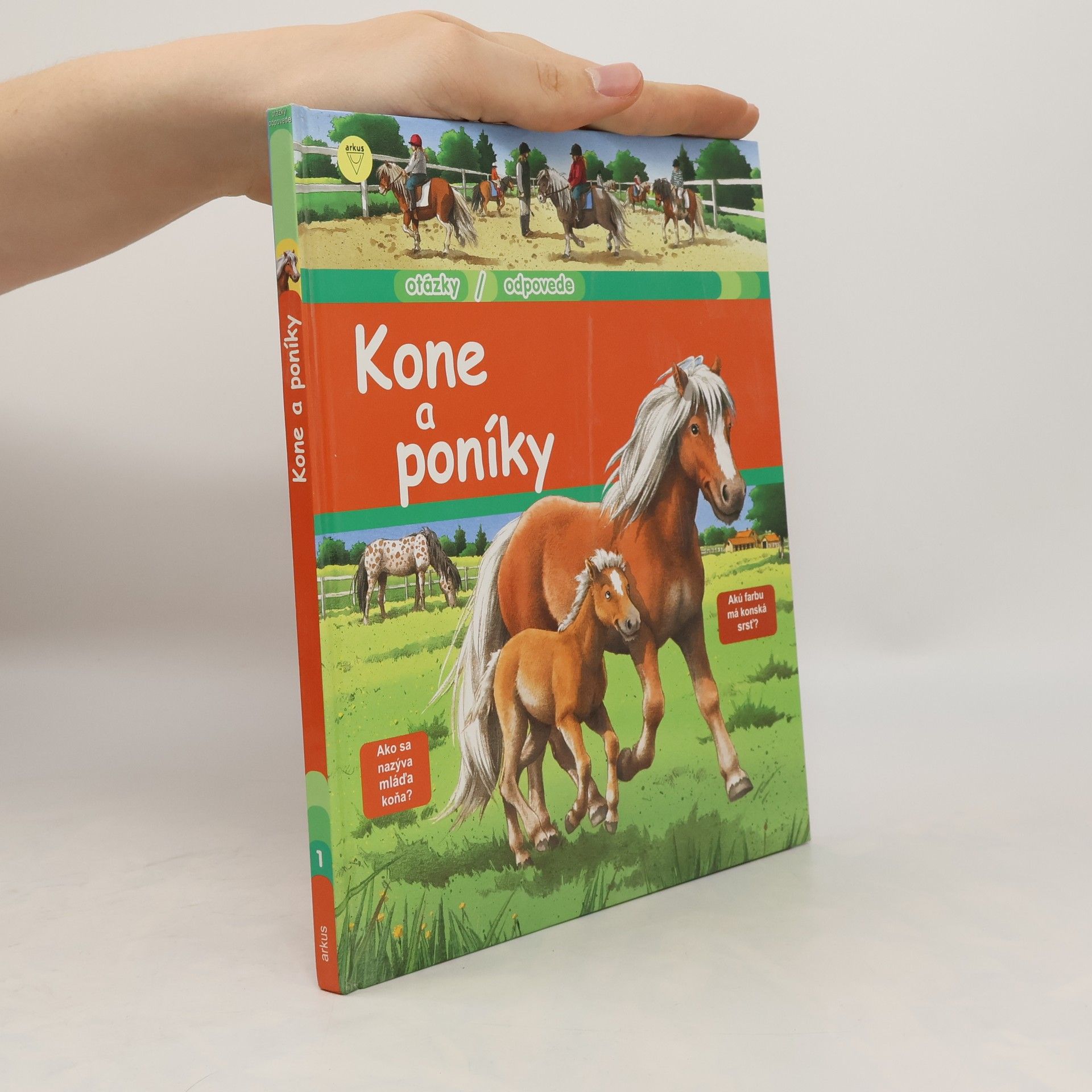 Anne-Sophie Baumann Kone a poníky