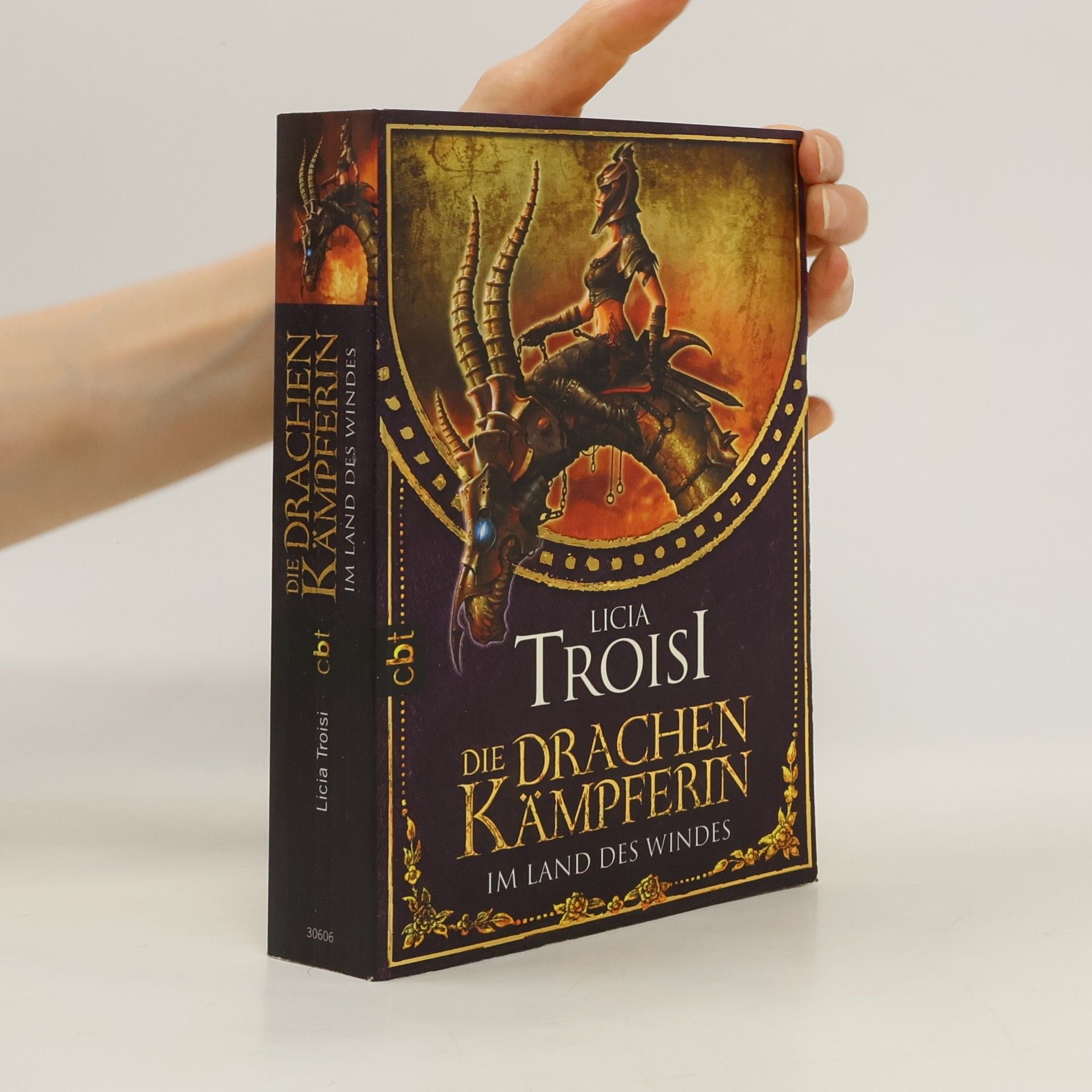 Licia Troisi Die Drachenkämpferin im Land des Windes