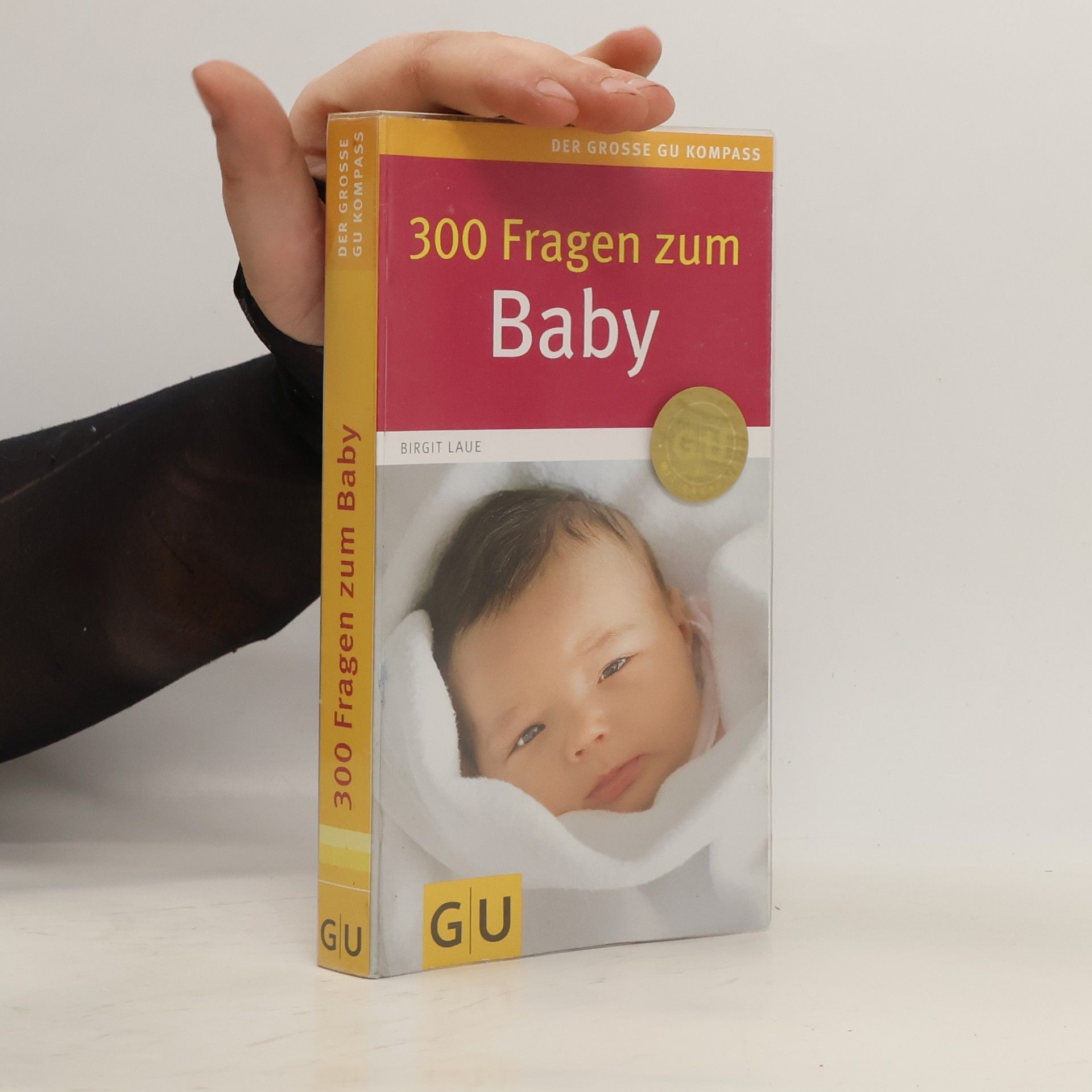 Birgit Laue 300 Fragen zum Baby