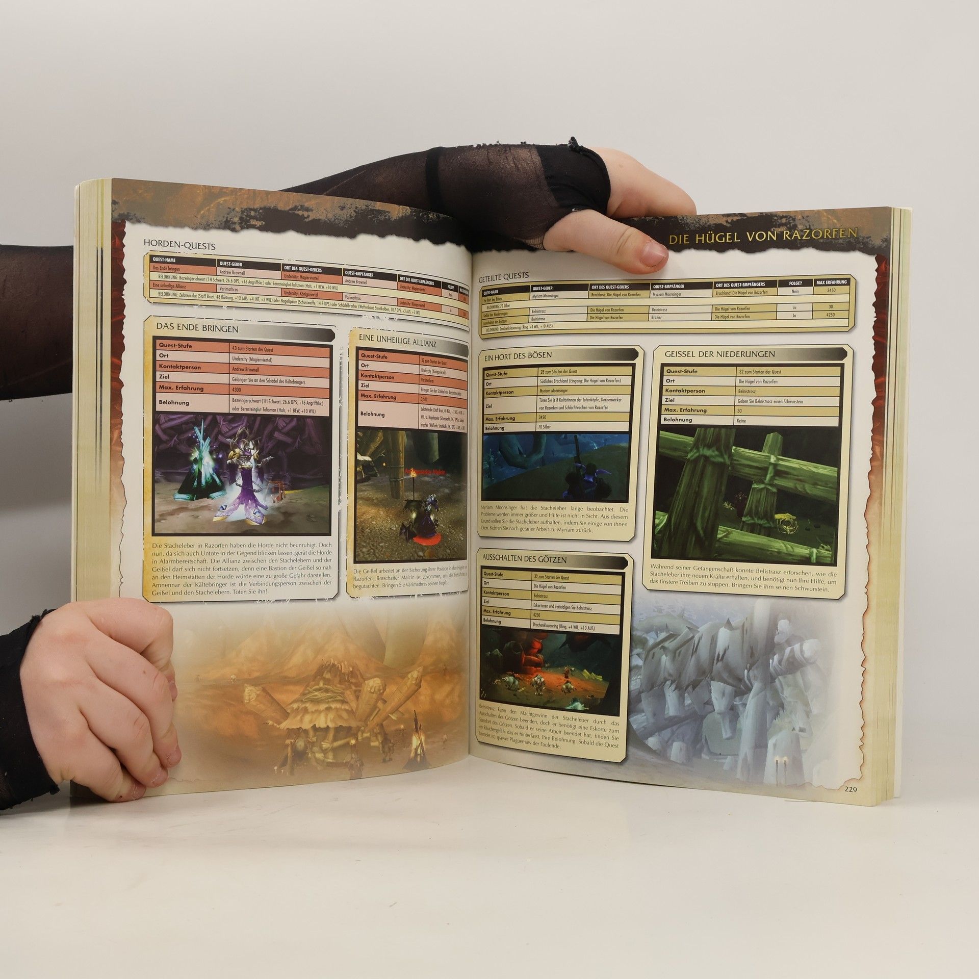 World of Warcraft - Dungeon Companion