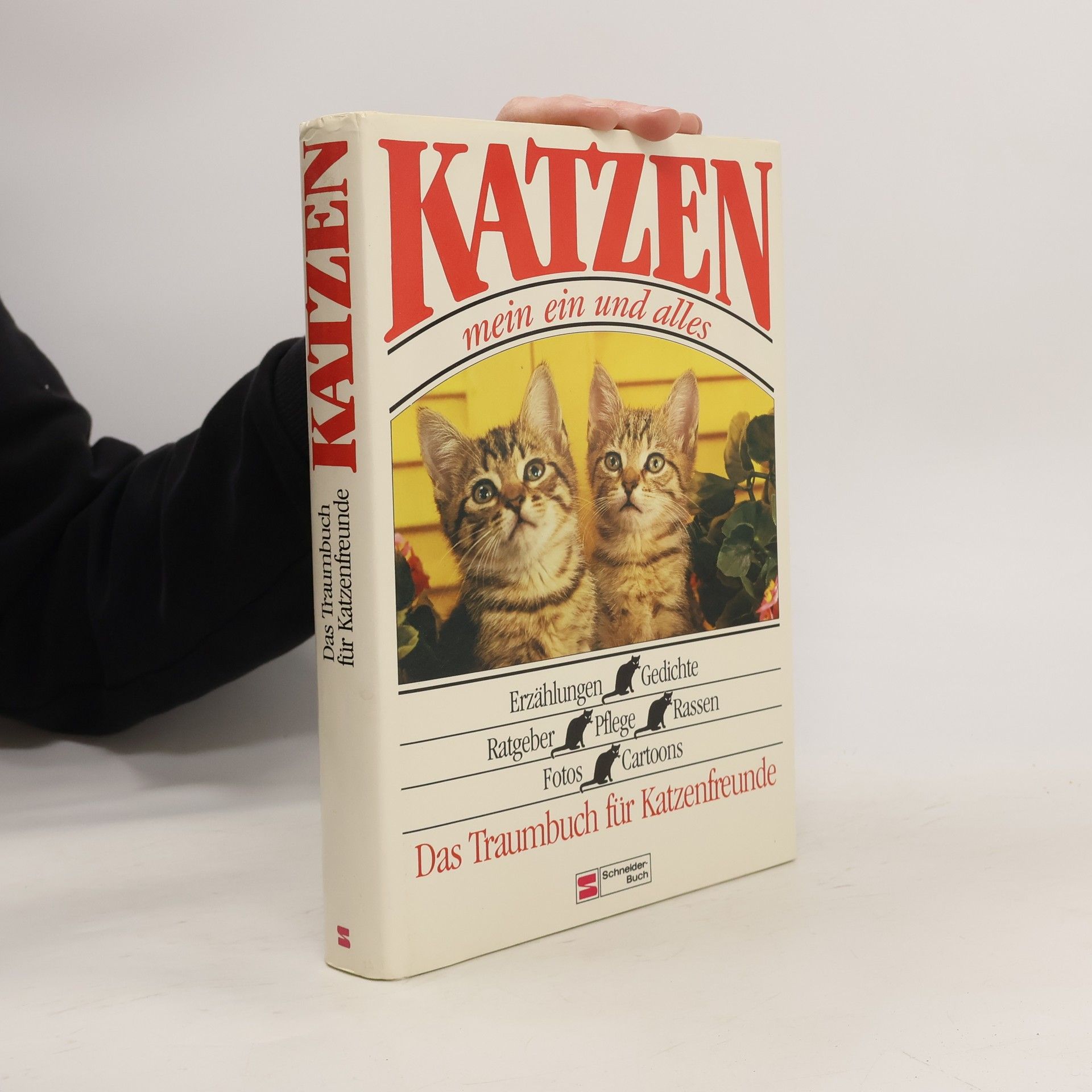 Kolektiv autorů Katzen. Mein ein und alles