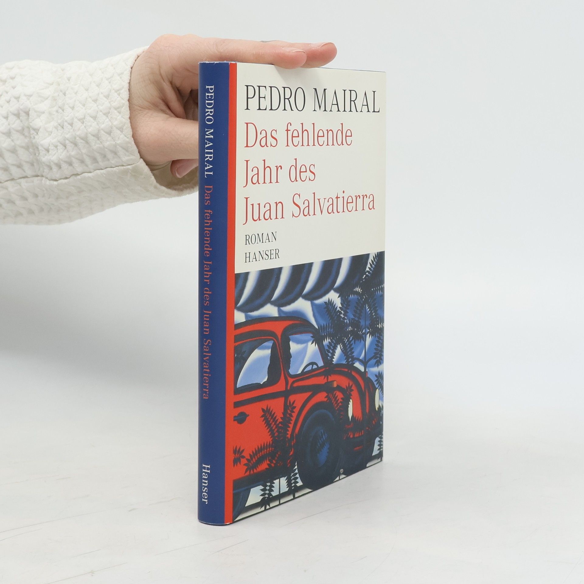 Pedro Mairal Das fehlende Jahr des Juan Salvatierra