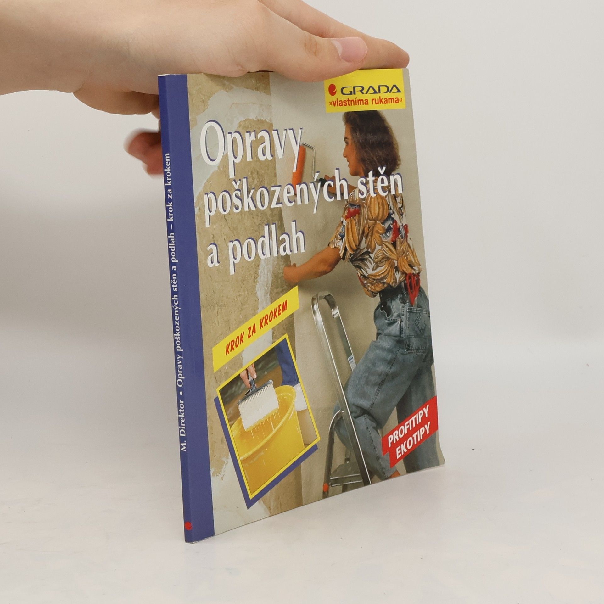 Max Direktor Opravy poškozených stěn a podlah