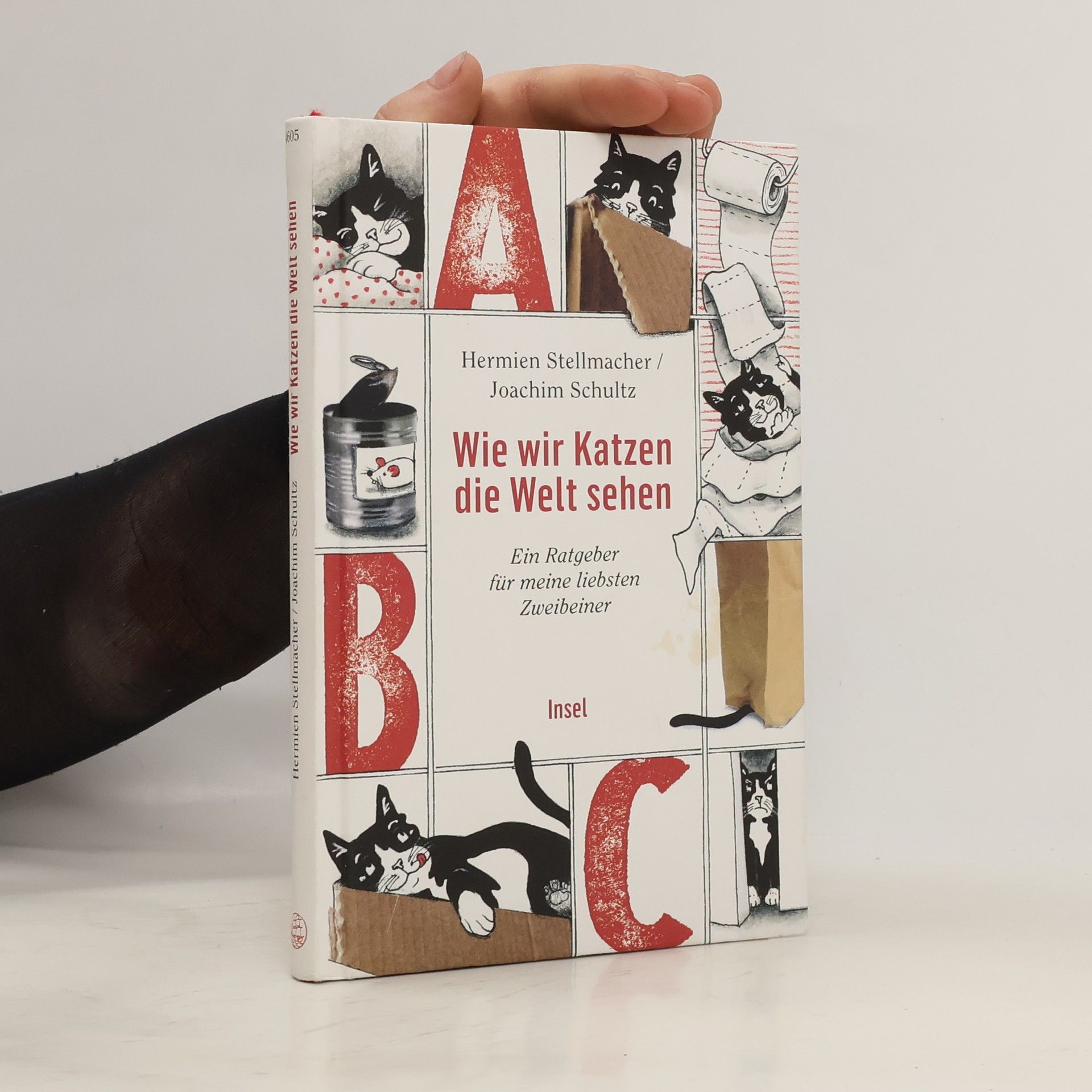 Hermien Stellmacher Wie wir Katzen die Welt sehen