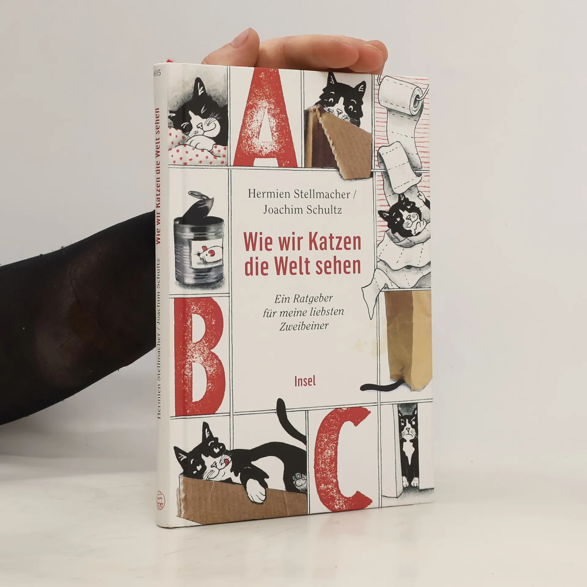 Wie wir Katzen die Welt sehen | Buch | Hermien Stellmacher